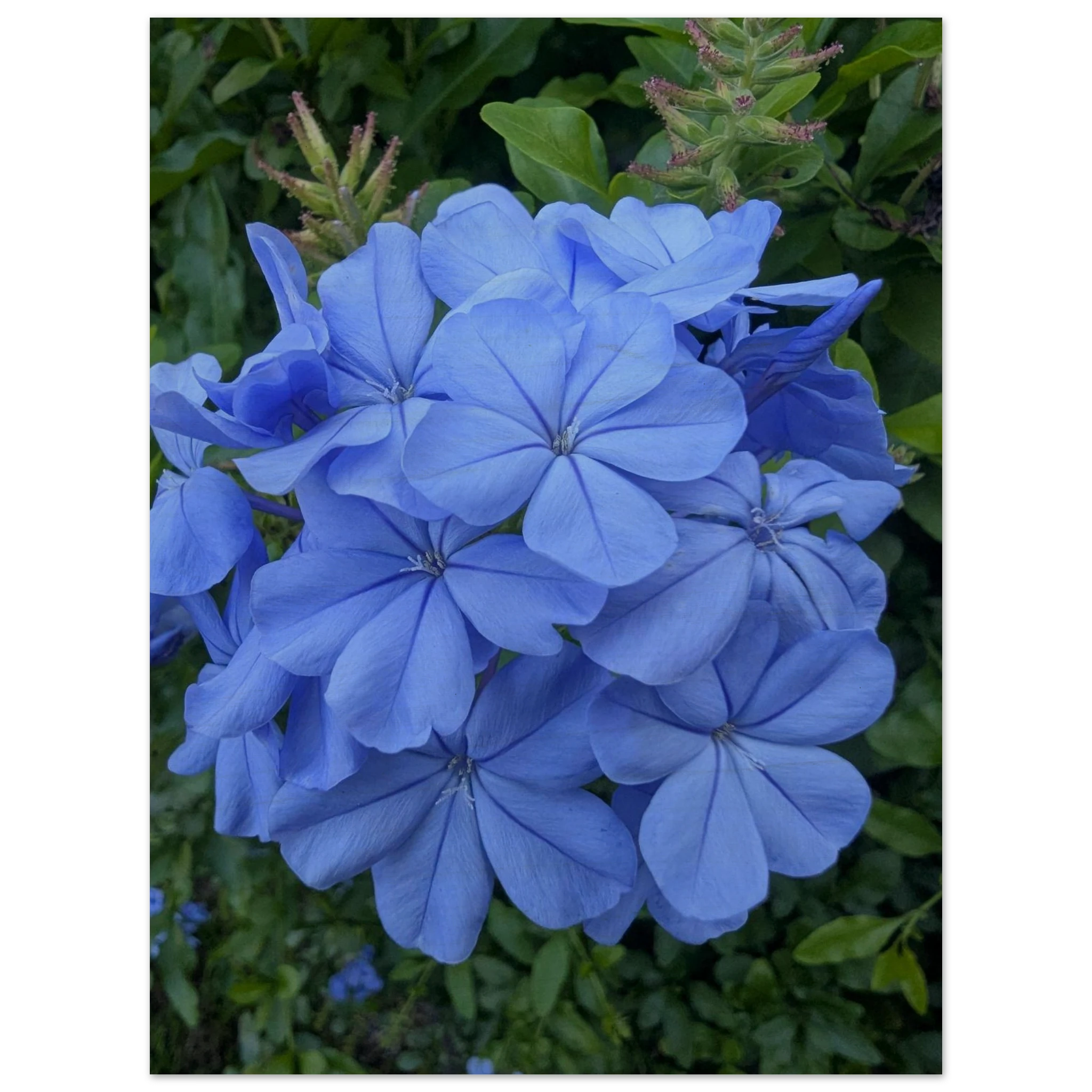 6b50f45f-3b80-4348-ab96-2cf1218588ca