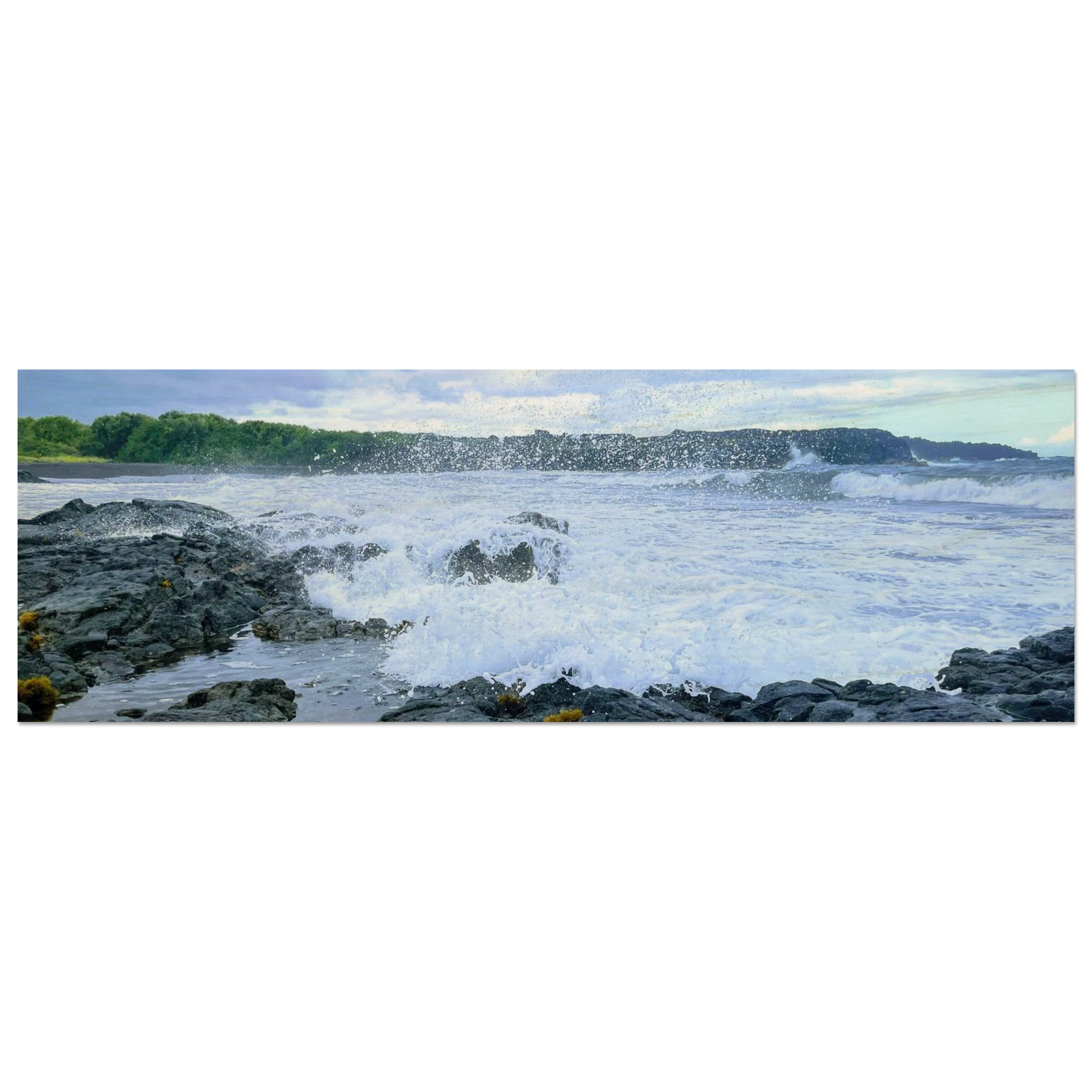 00969b68-a0b8-4746-8eb3-bf7c85d5d829