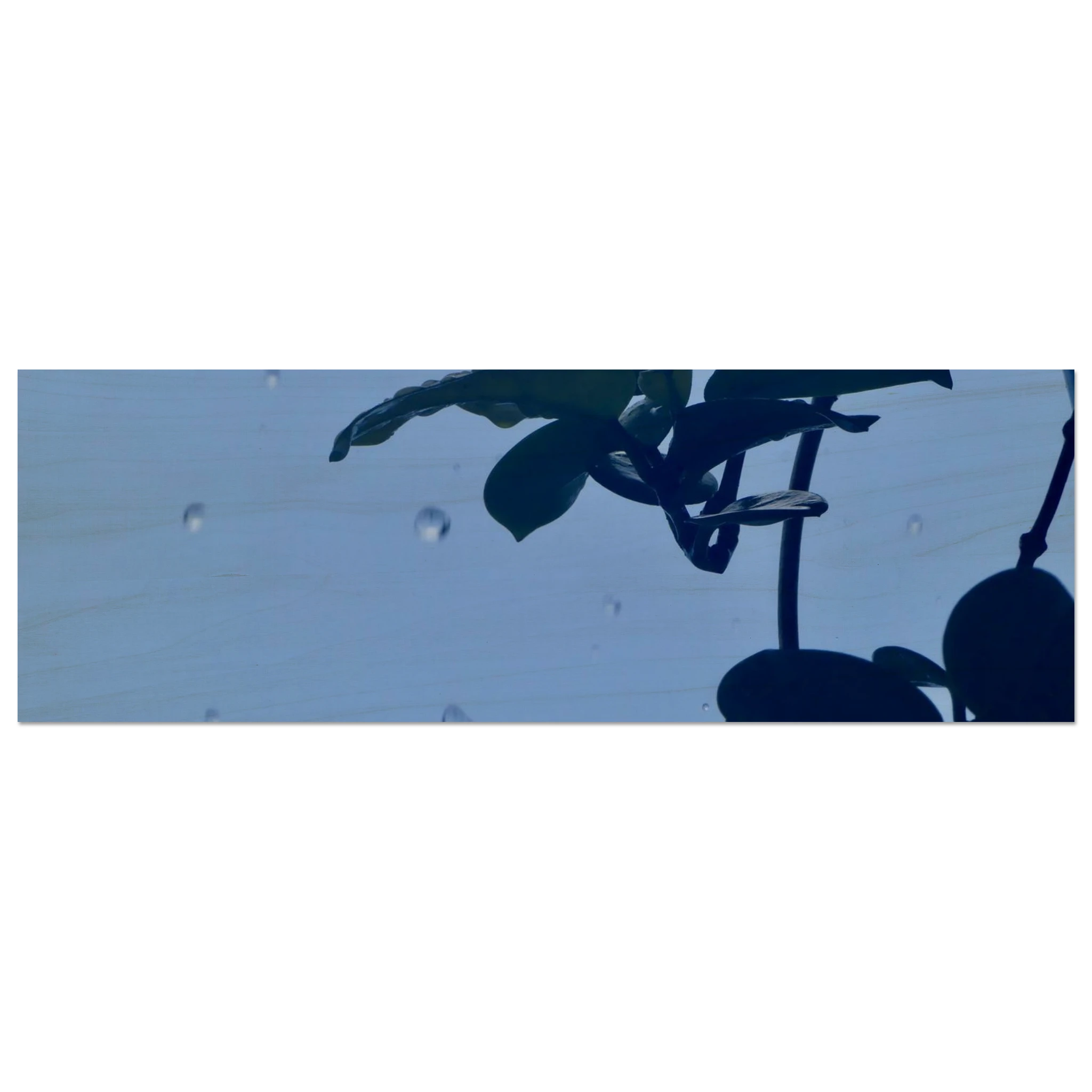 039f71eb-d5a3-477c-8a70-30c23319d90f