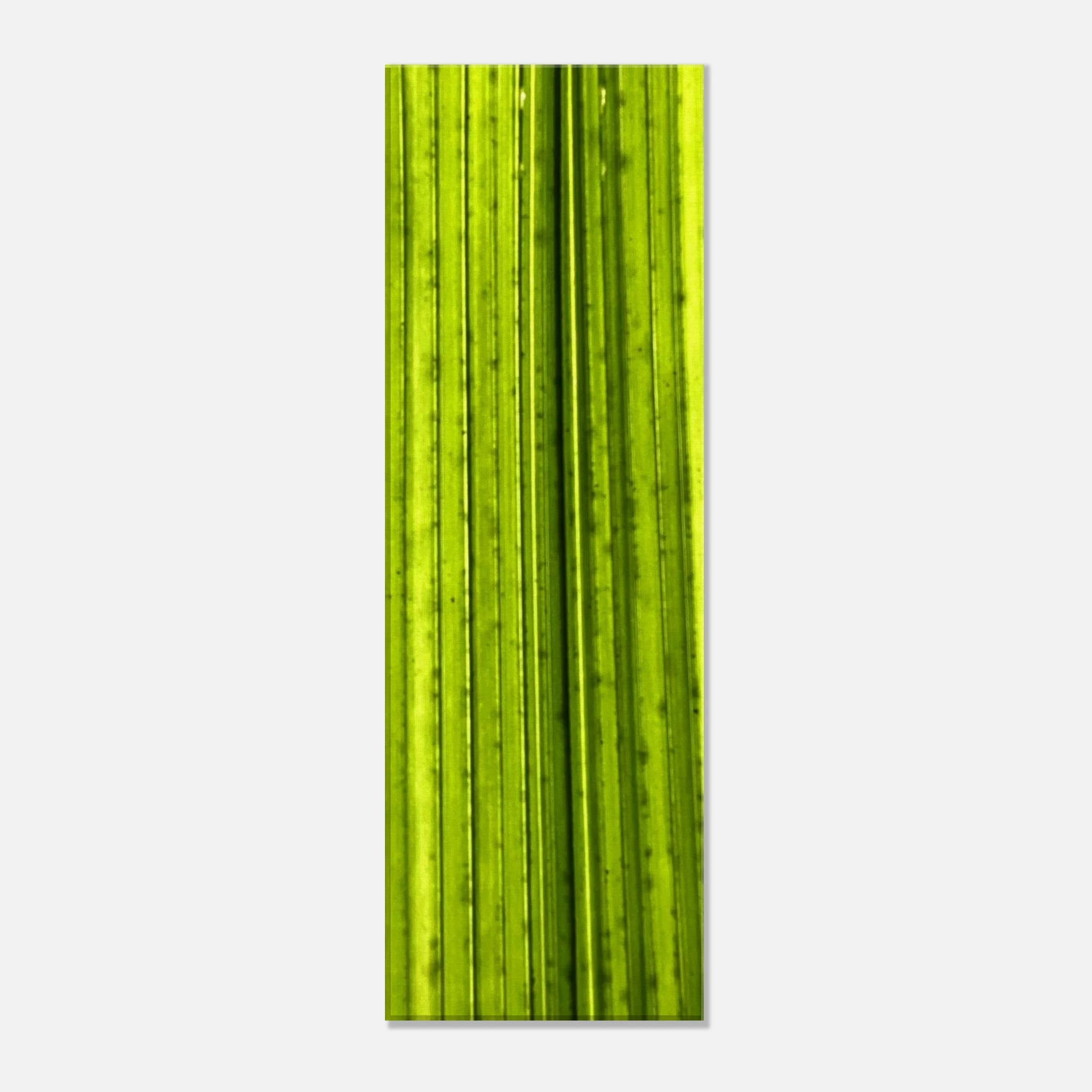 0574d081-7260-4e6f-a4ee-f669cd6a401c