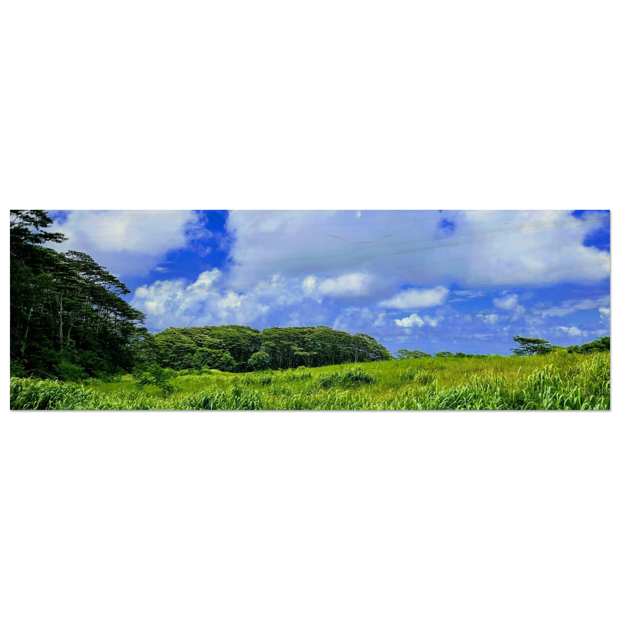 080554e9-15a9-437a-ab06-da7b50ae8c9c