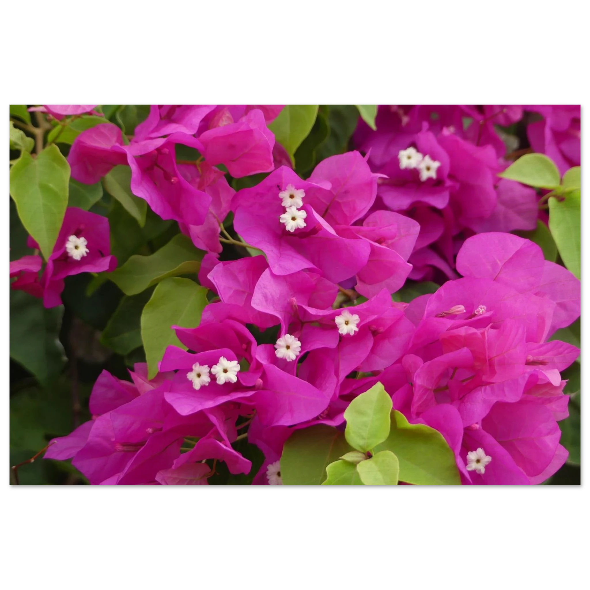 0939c3a8-581c-47b0-99e4-143cc793bb1f