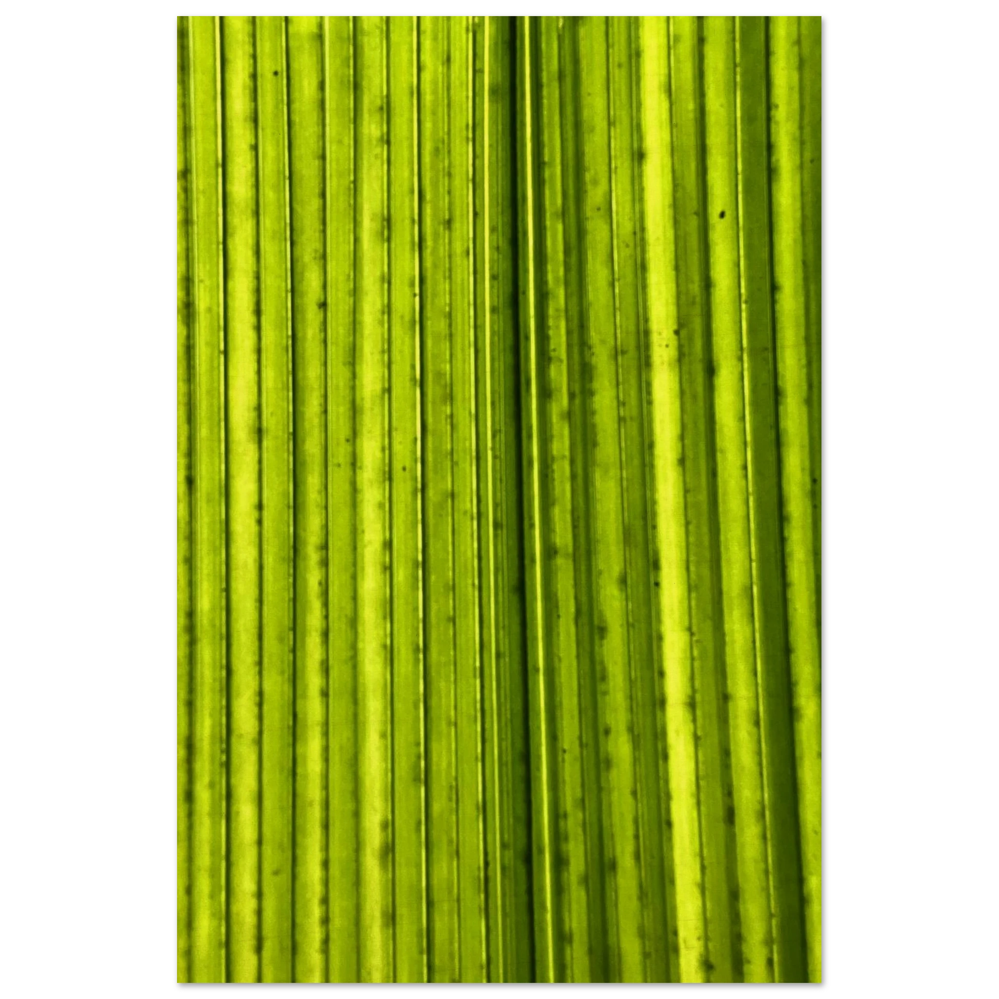 0c75626e-d399-430a-99cd-5c873c192335