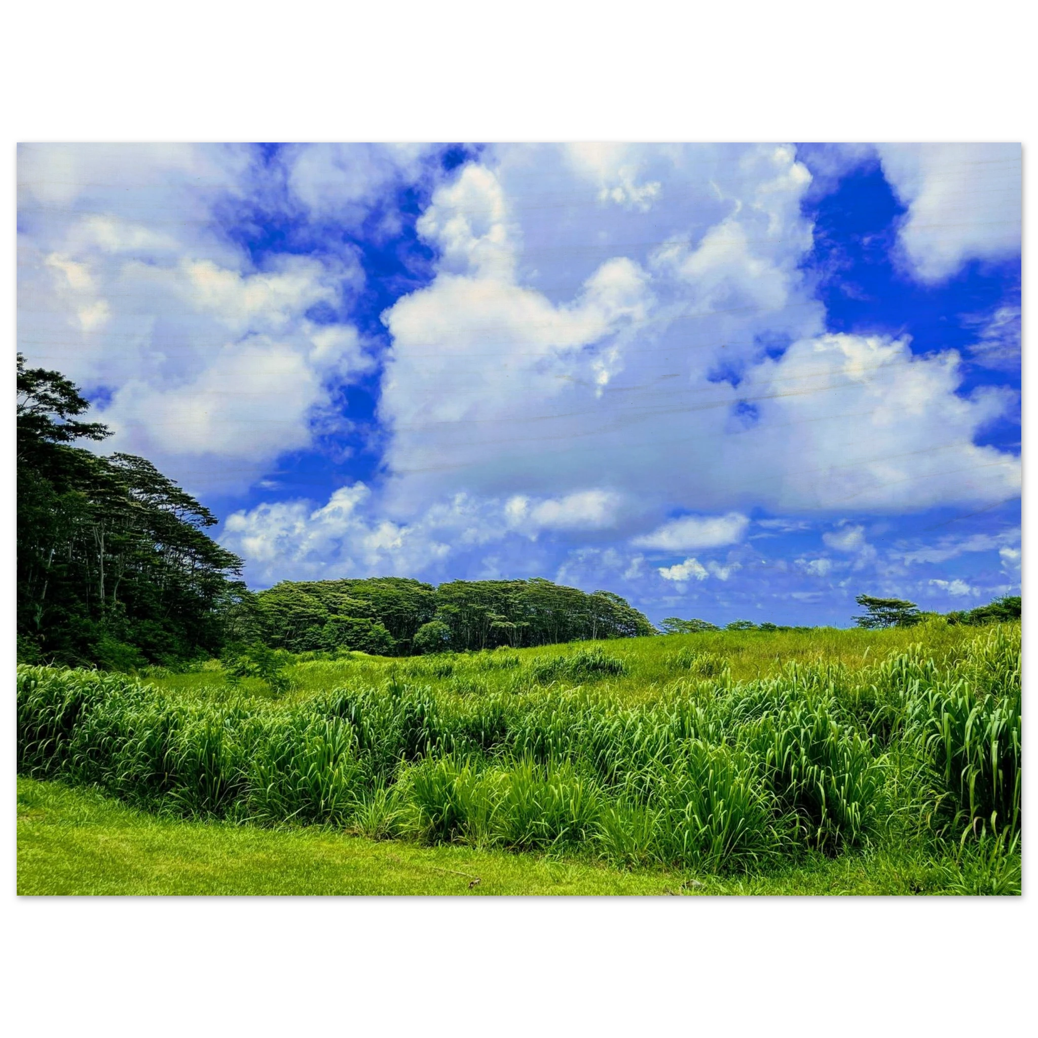 1034093b-9830-4d18-8eca-ddb32d694289