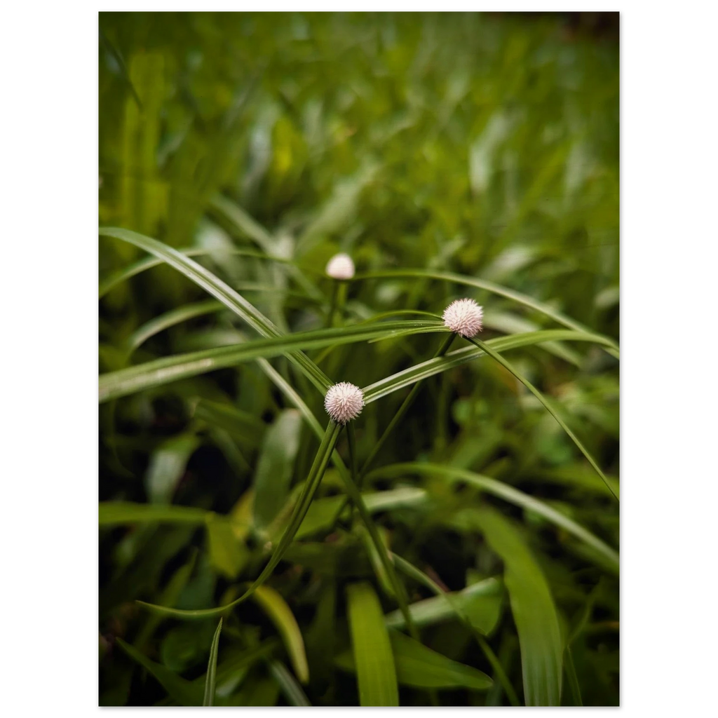 150d8141-ab02-4d50-b79a-3411ab214834