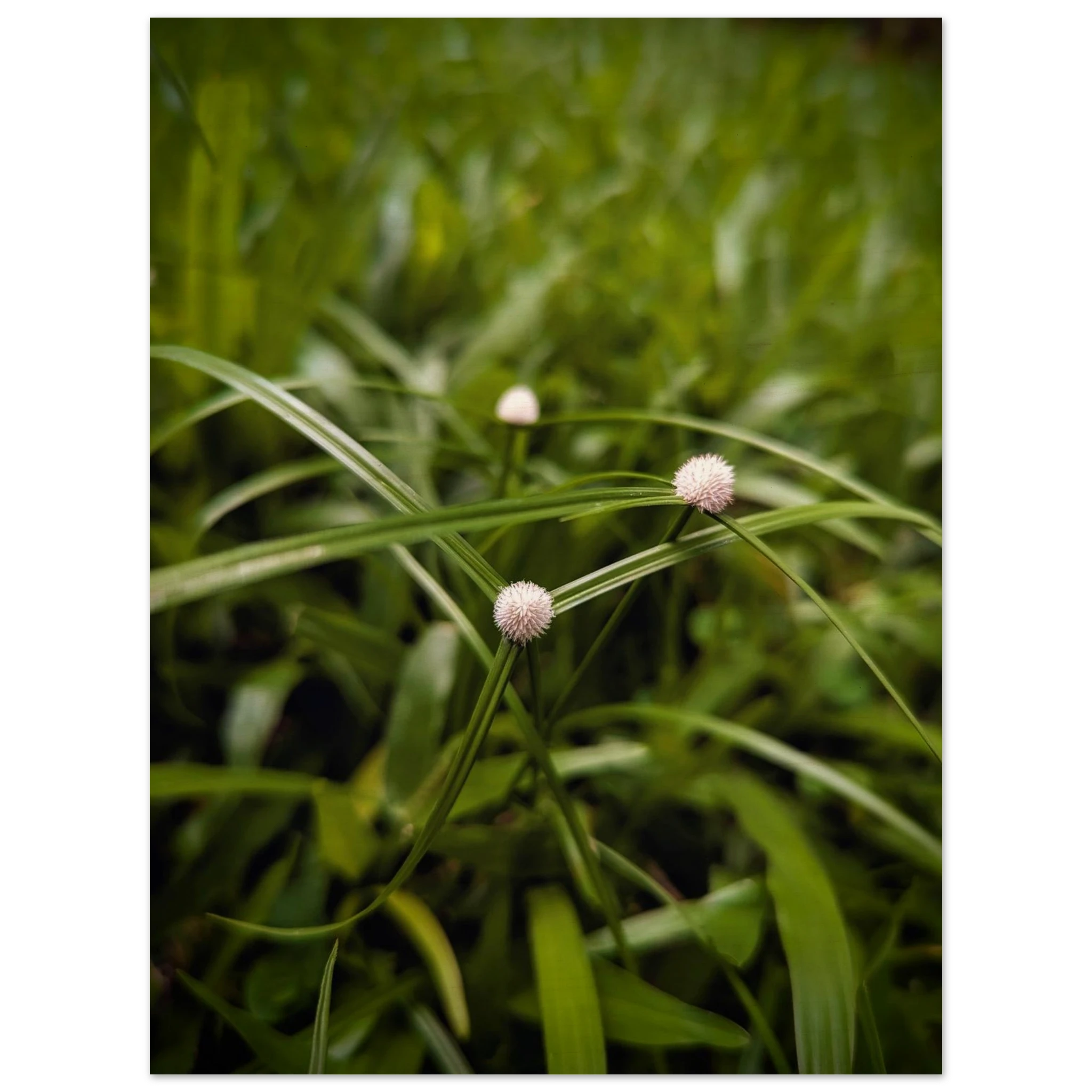 150d8141-ab02-4d50-b79a-3411ab214834