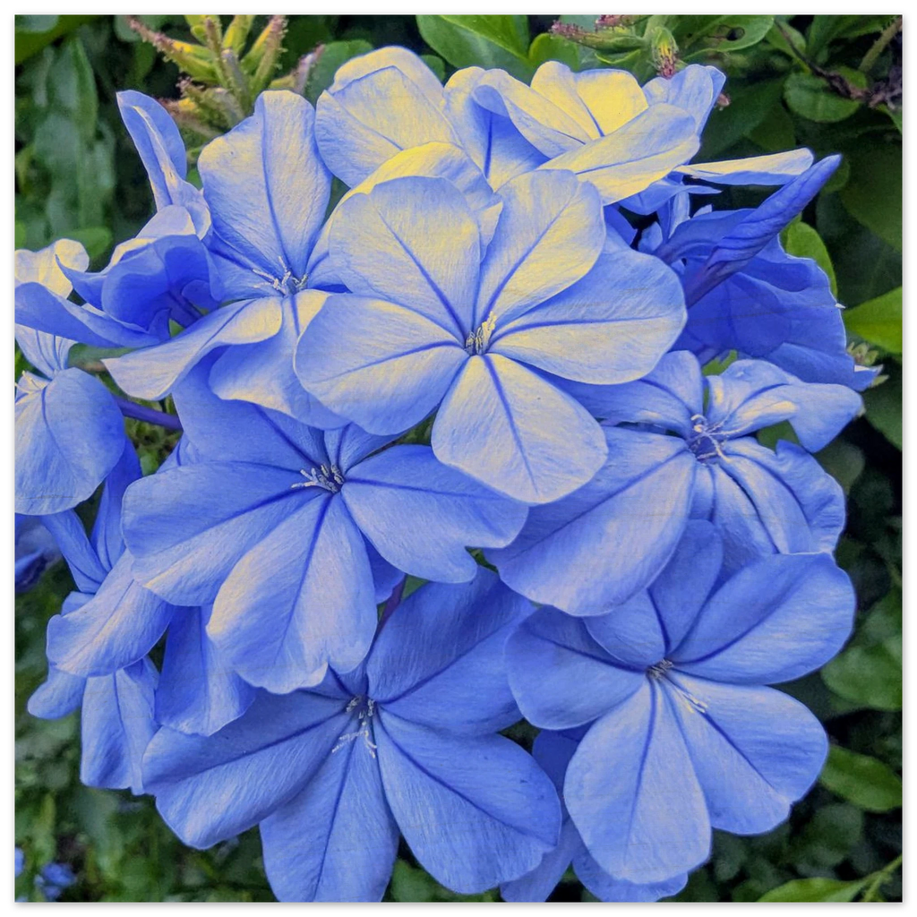 183fb084-a771-4931-ae9c-e754e99ca822