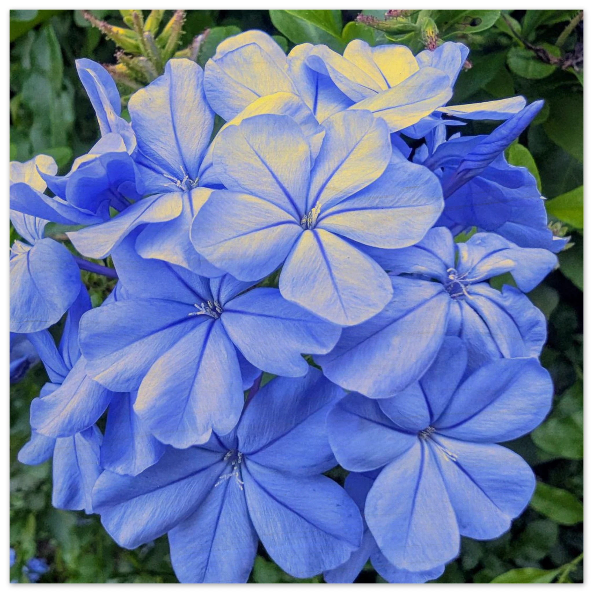 183fb084-a771-4931-ae9c-e754e99ca822
