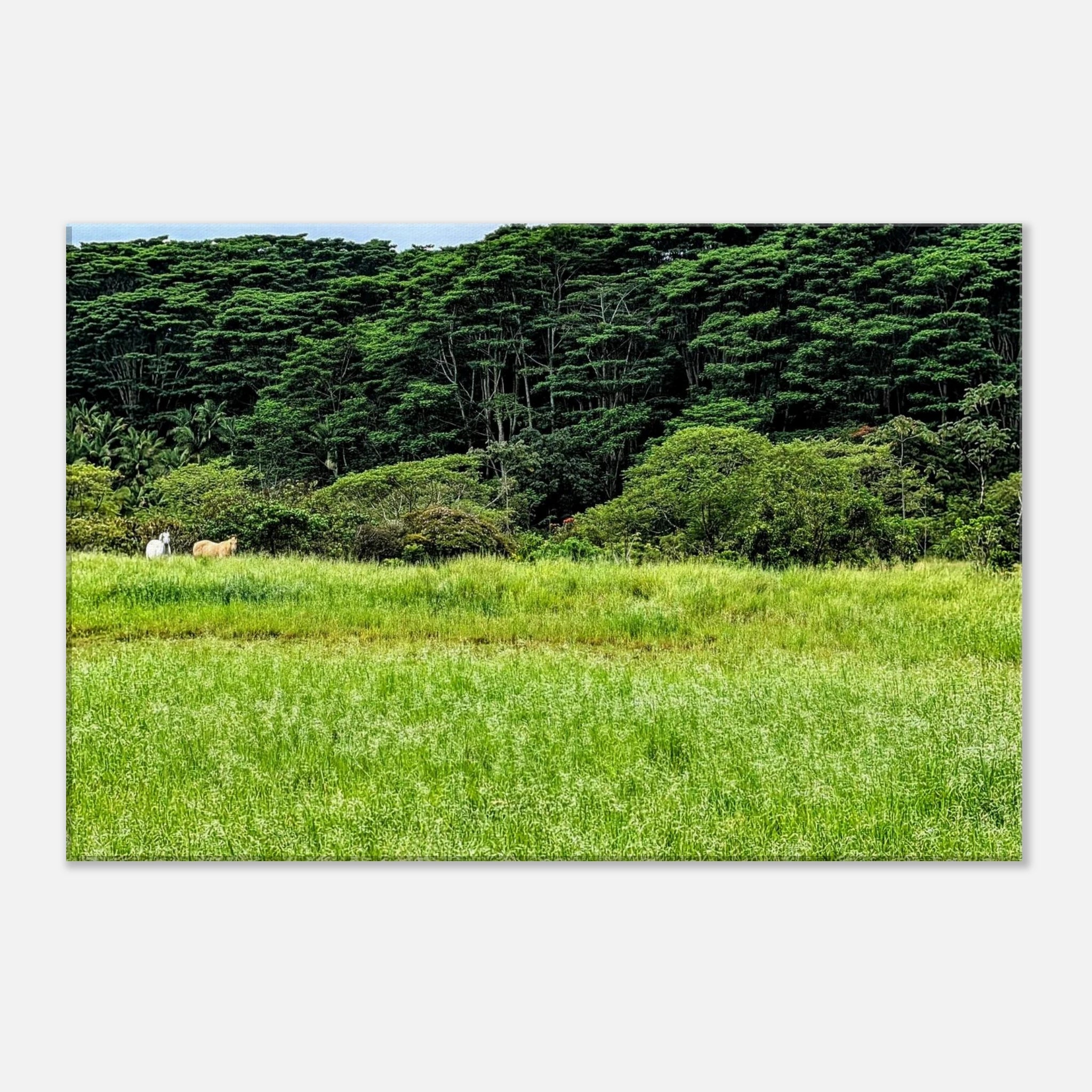 1b1eb214-cbae-409f-8989-bb261972e1a9