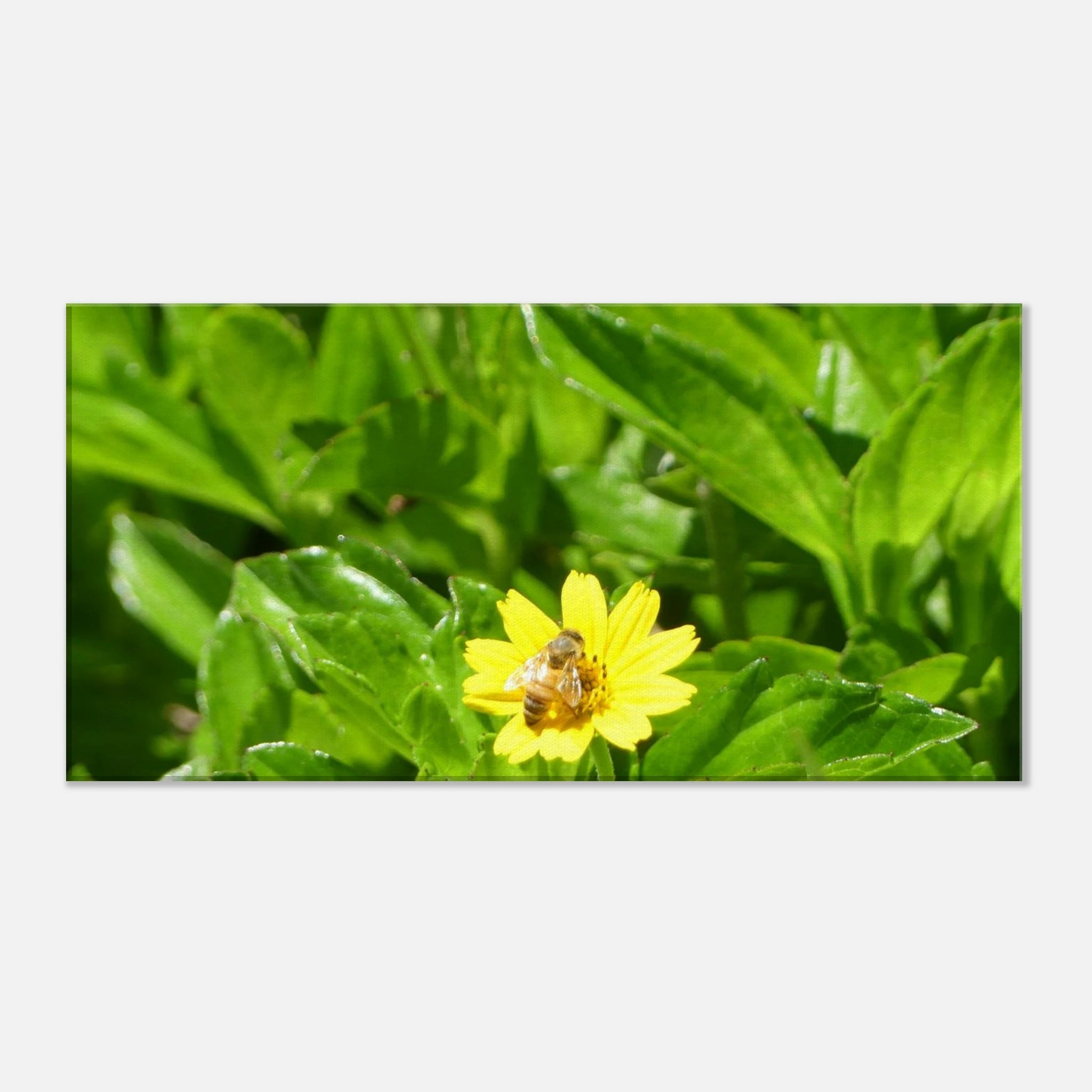 1bb5cb9e-2953-446a-903e-9aa90805d3ac