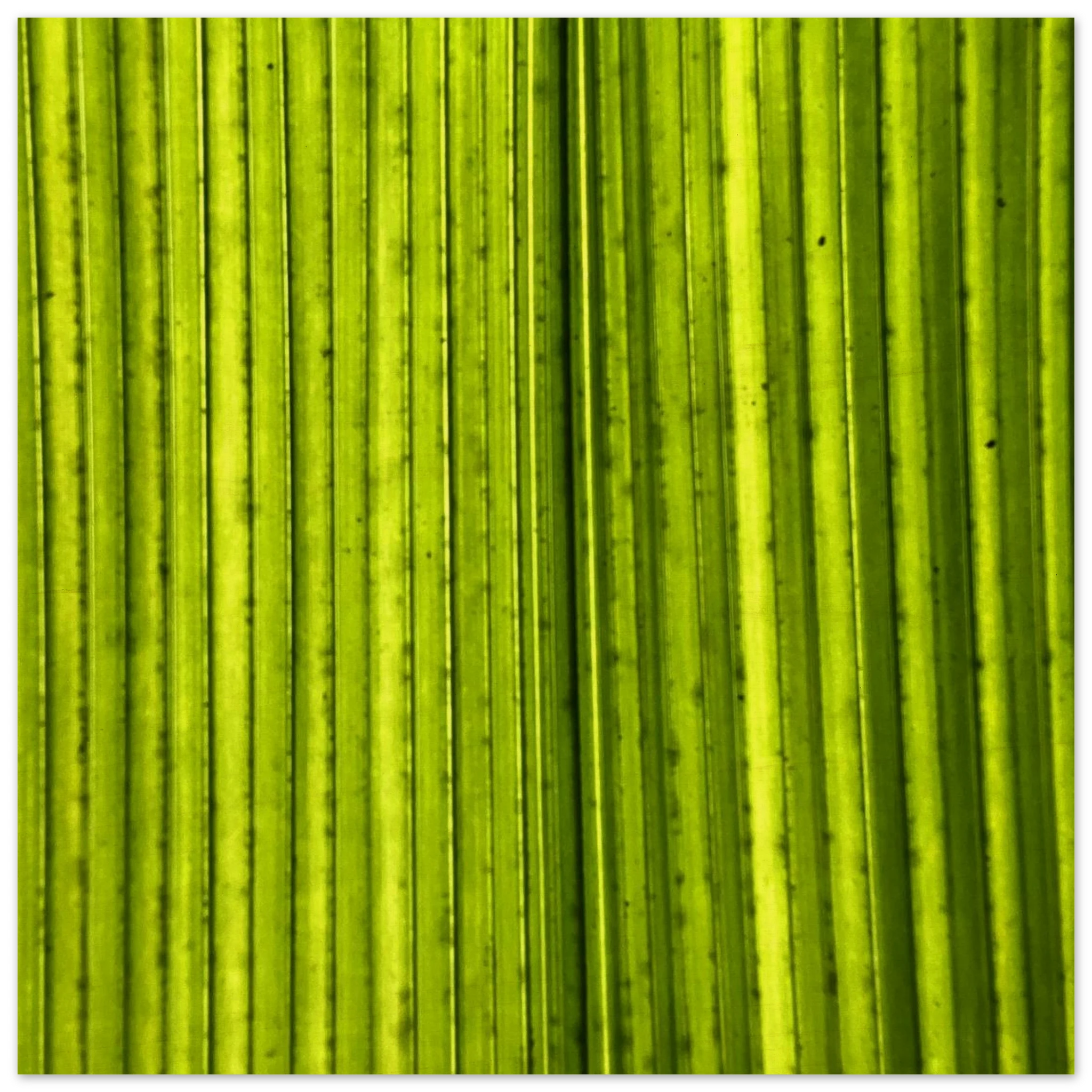 218c460d-756d-46f5-936f-f47e513a1520