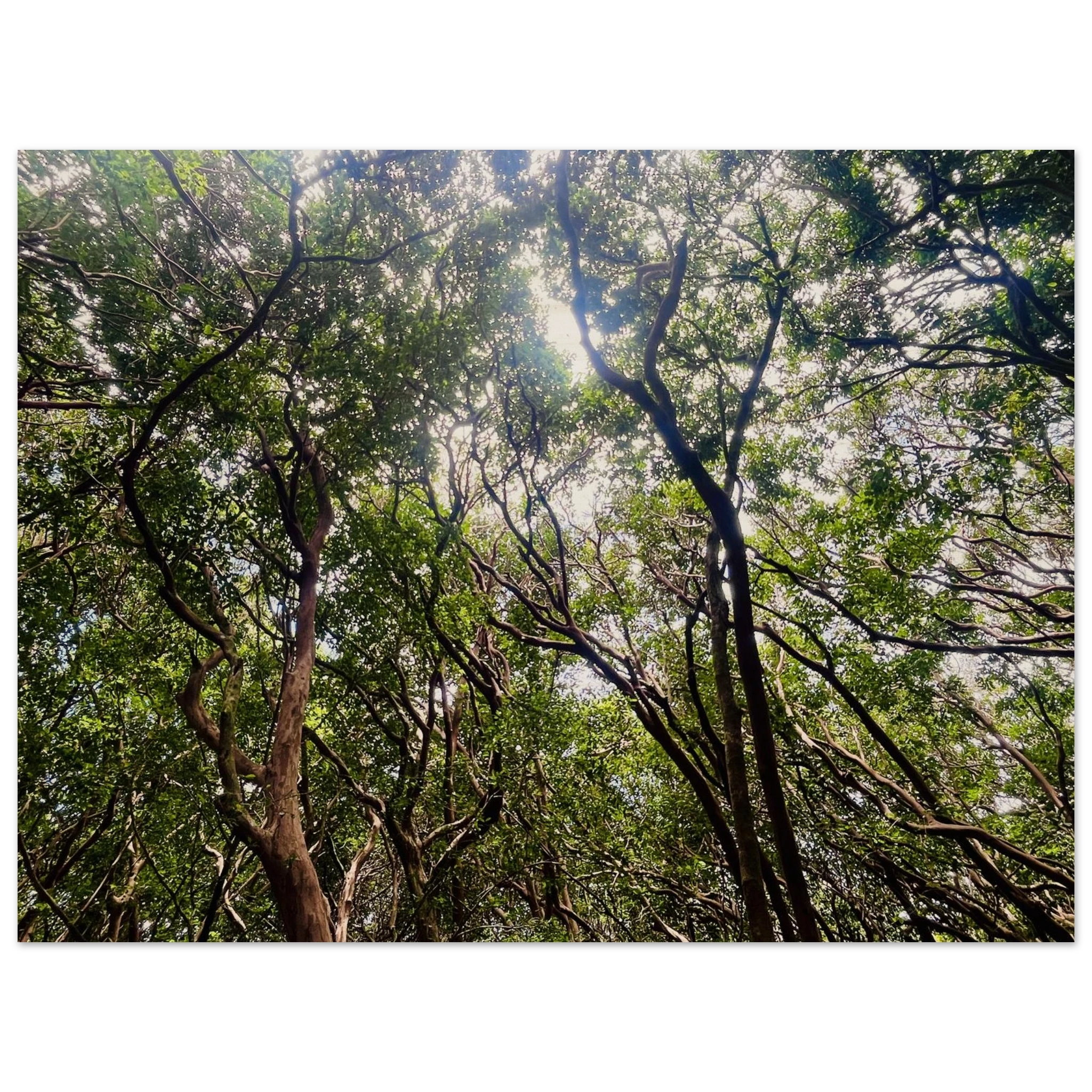 2410155e-6c3a-4580-85b7-f4260b43d516