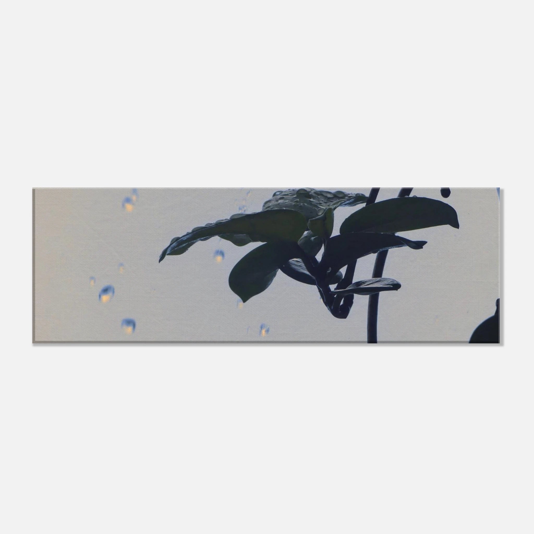 27281b72-09f4-46e1-aa58-d7d725409035