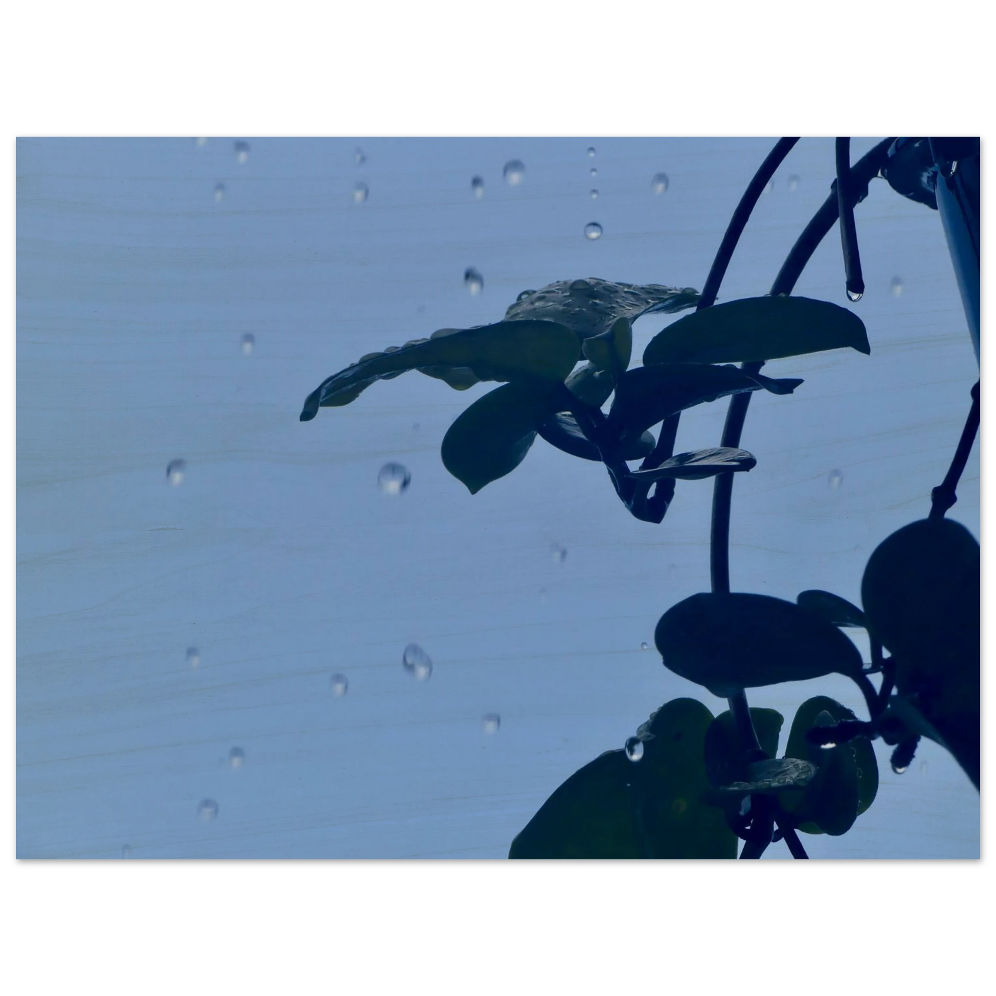 33719865-8ba4-4c59-a61d-079276b039e3