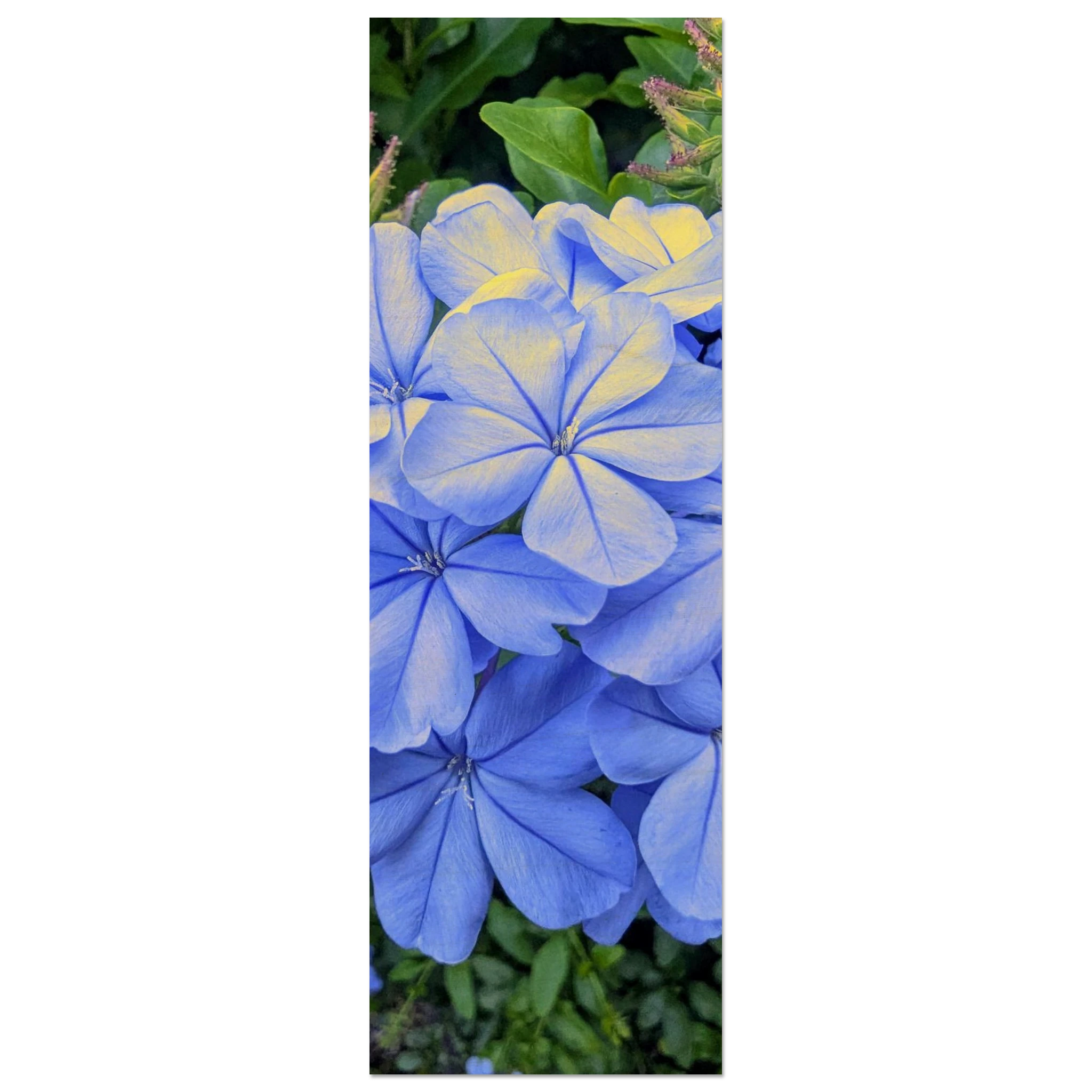 33b2ed9d-c0b3-495d-952f-4bf8a5fb5bf9