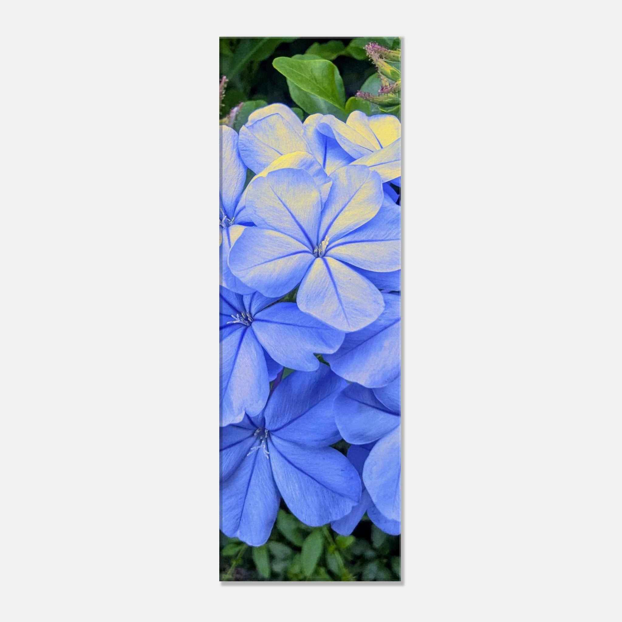 3f49d651-41af-480e-9a68-9cb4d8f46e58