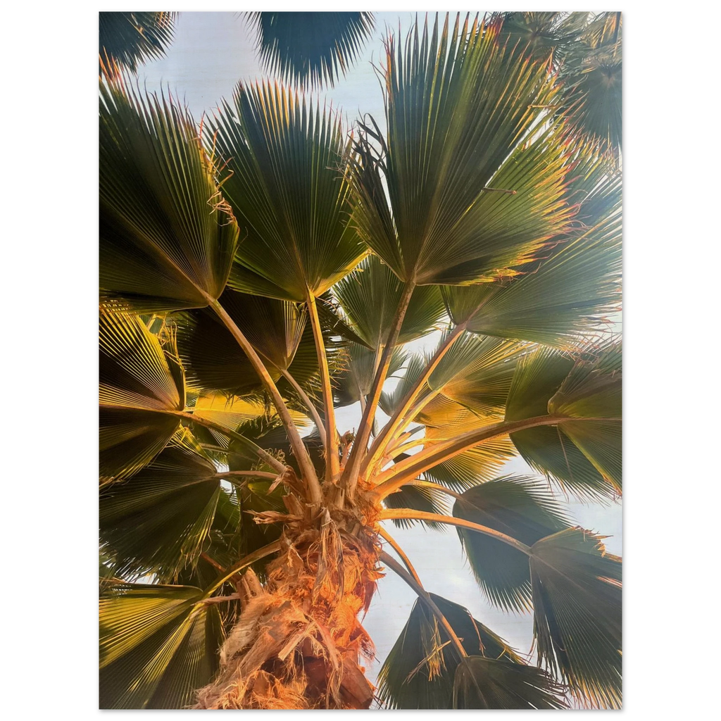 41853d02-08c9-4d5b-a6a2-70e15962c745