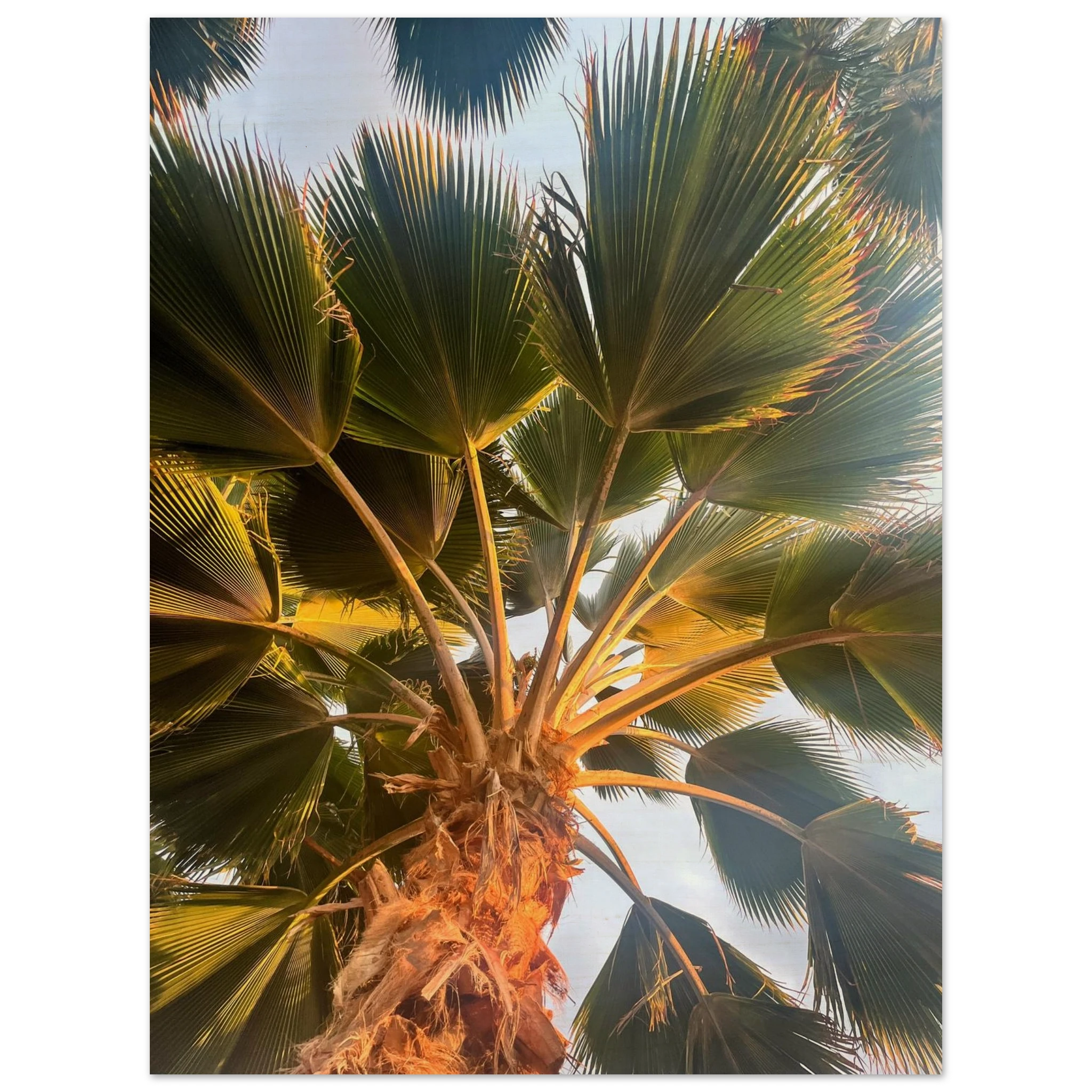 41853d02-08c9-4d5b-a6a2-70e15962c745