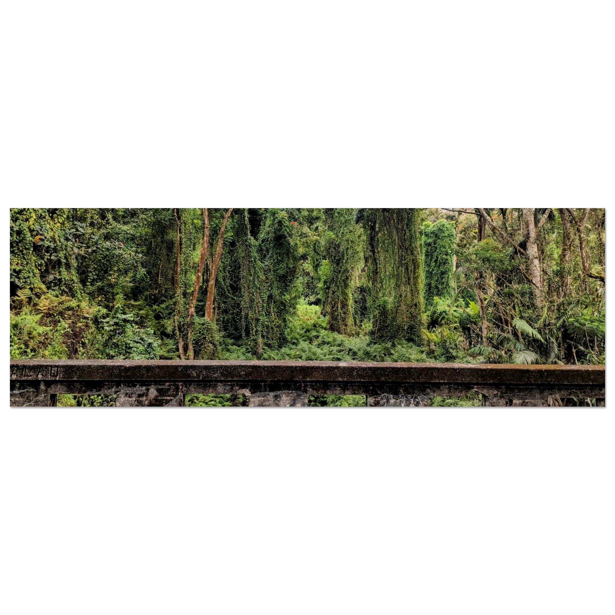 4544fa08-e0f6-470d-a481-6c8c3f714304
