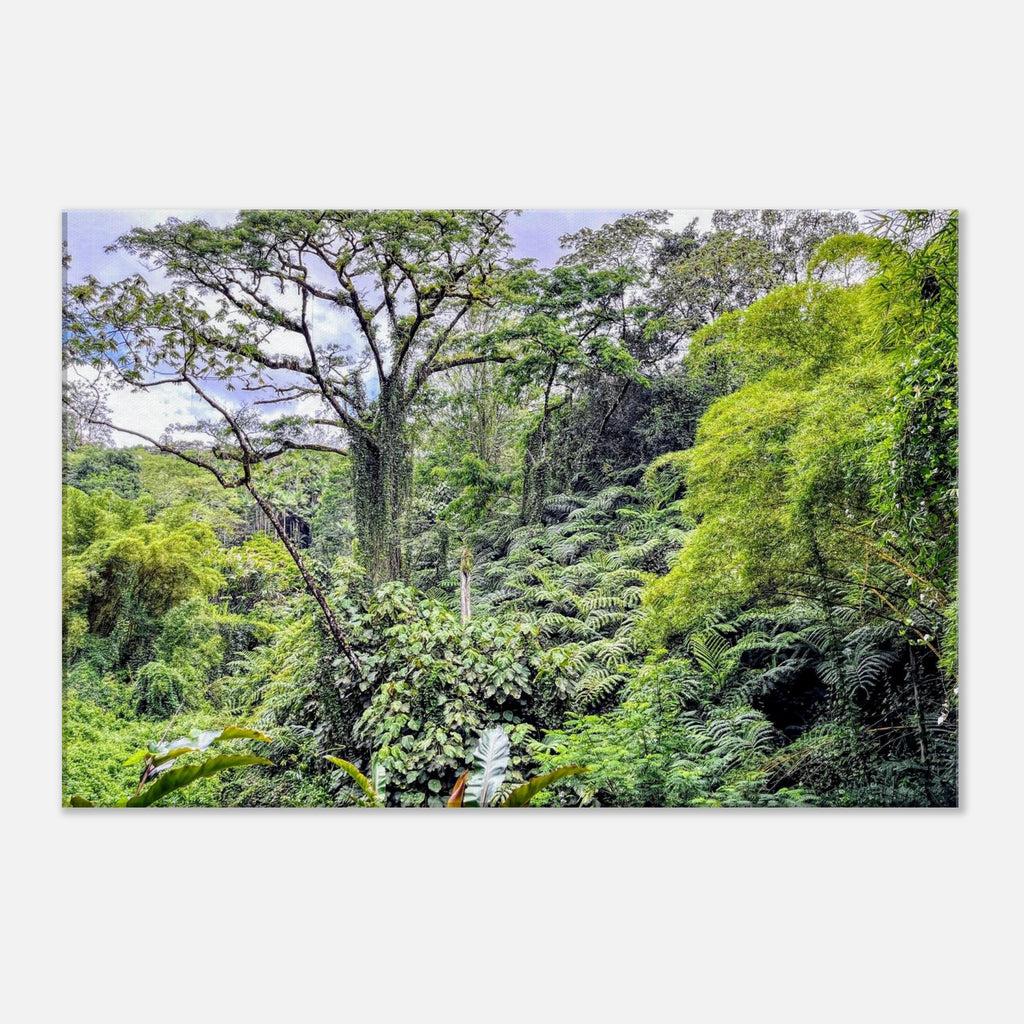 47253ce6-9e71-46cc-ab11-e4c8741f1cc3