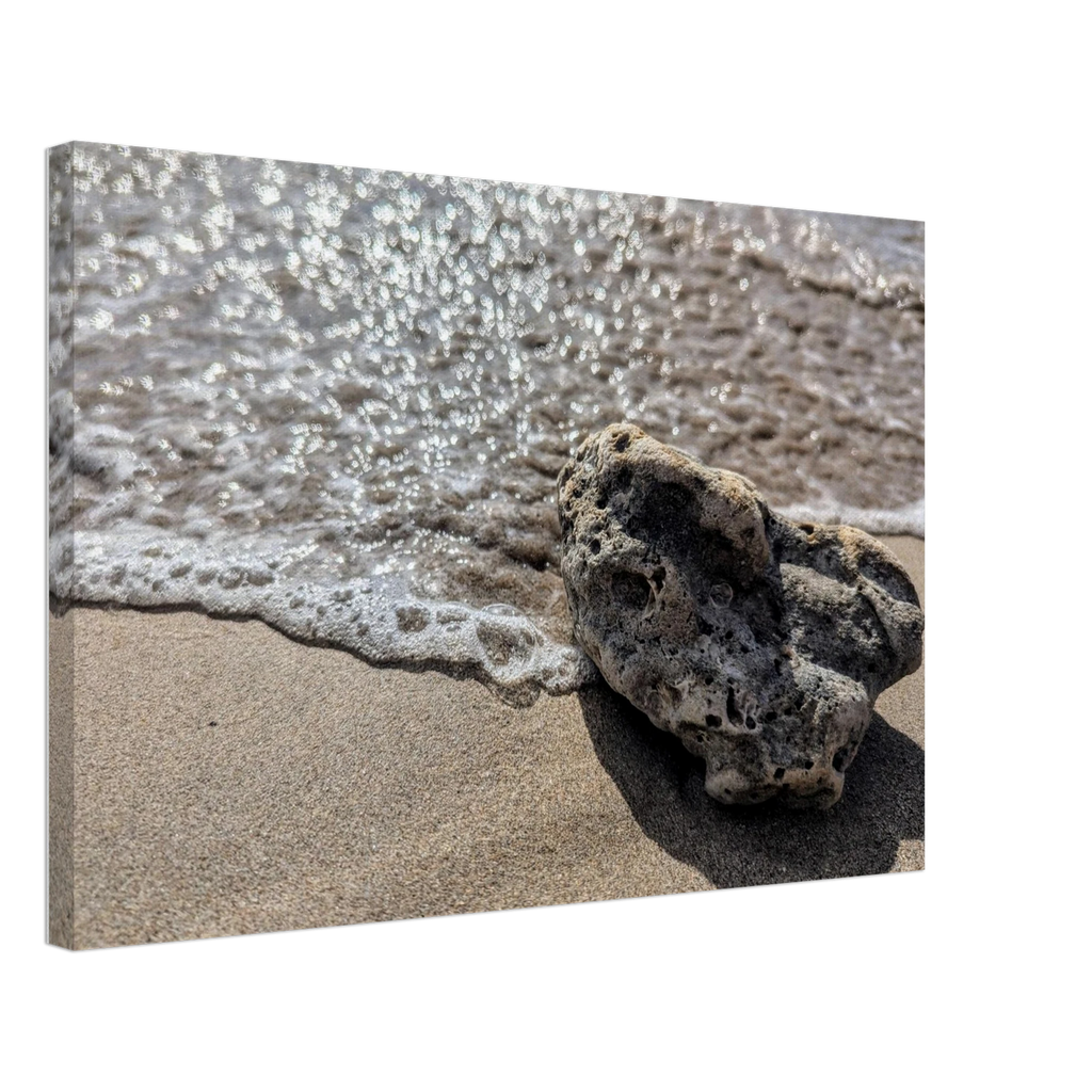 4c5110de-f082-47f3-91c4-e66ba24b02bb