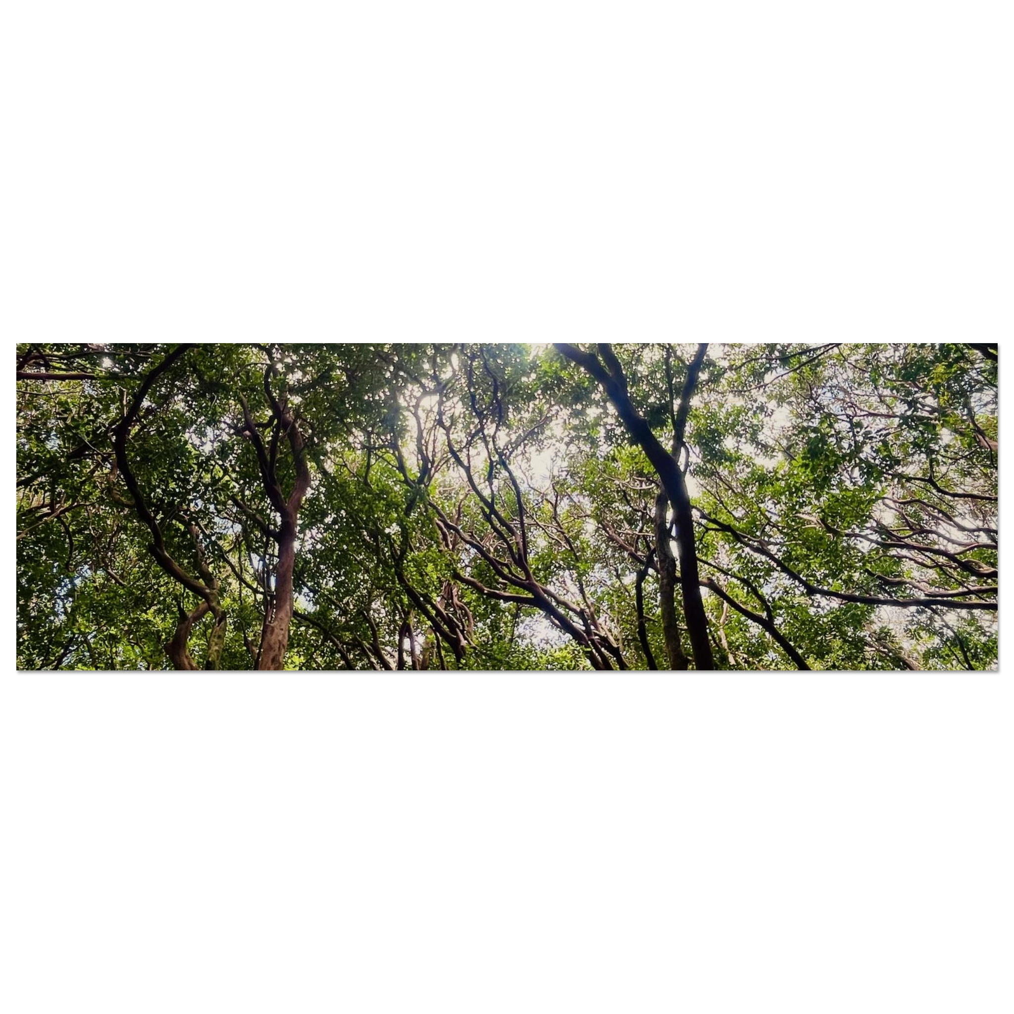 4ce3a999-5f27-4598-b2d0-610131e3e674