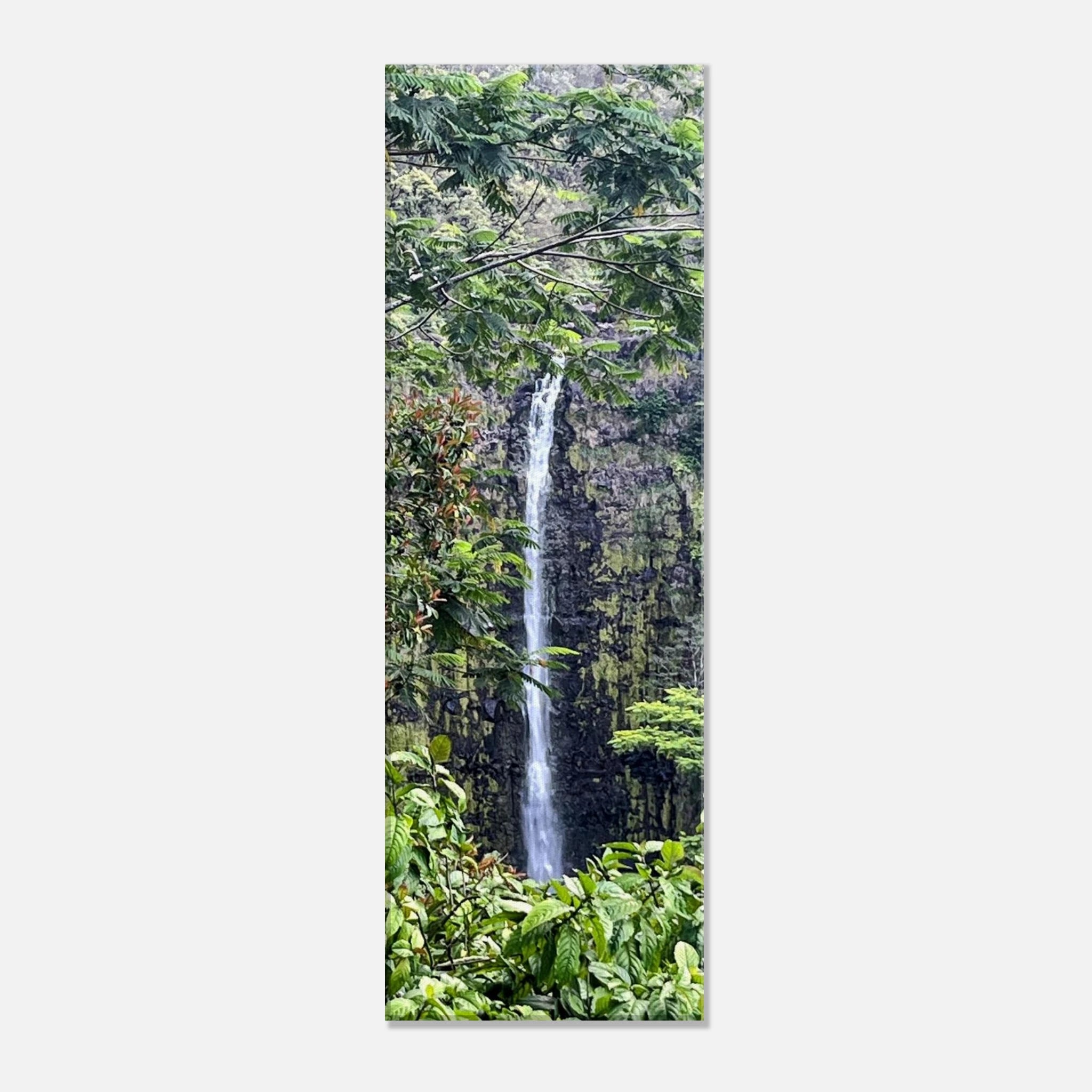 4d3ea496-60a3-49bf-8570-0106fecf0e6c