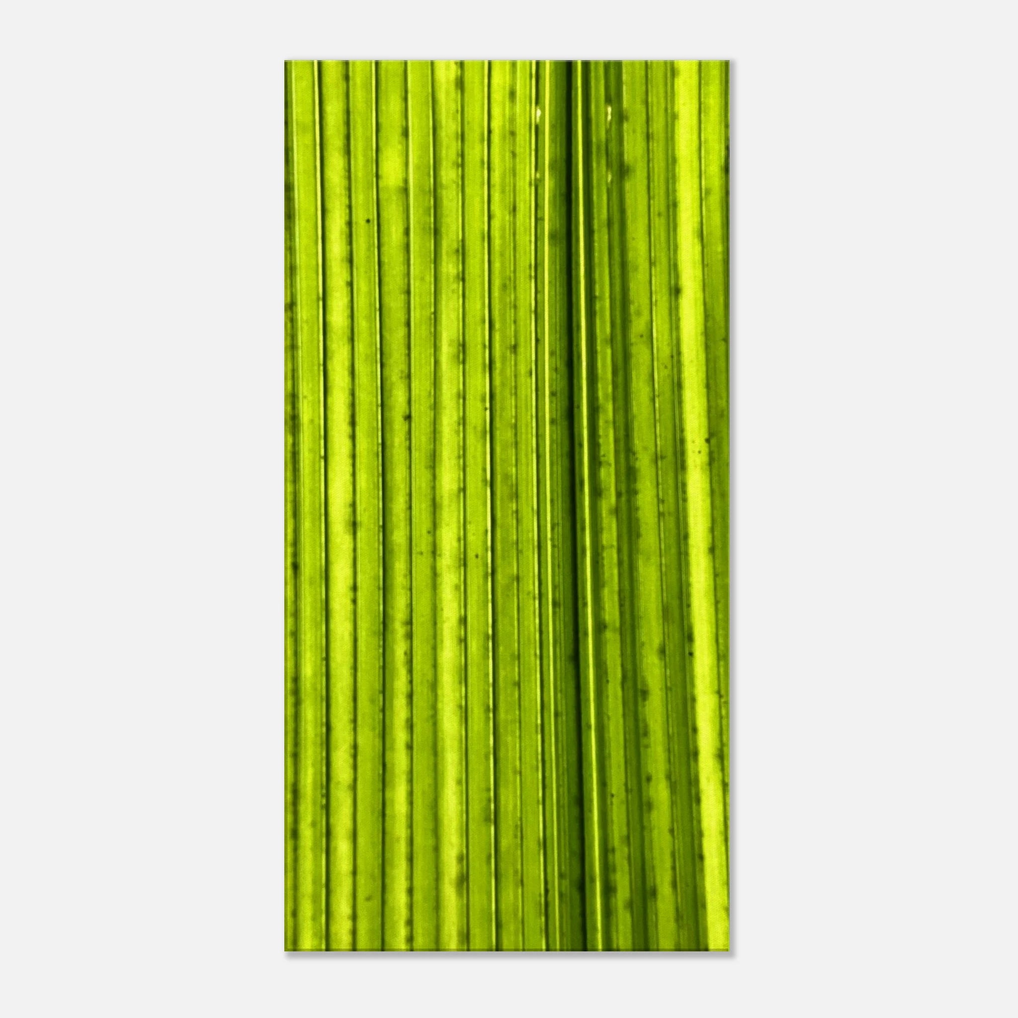 4f02b918-1f8e-42f5-8692-71b79e6b0837