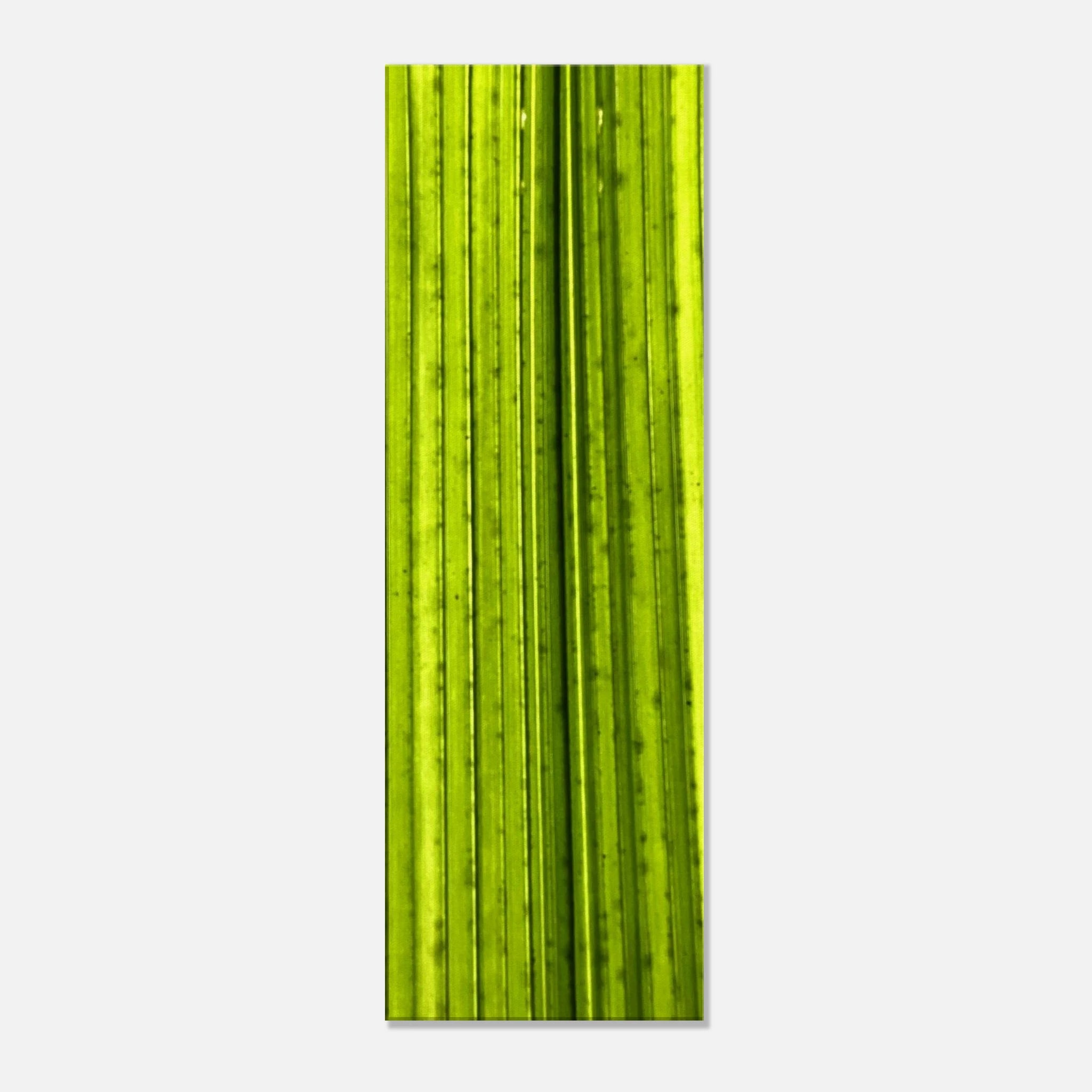 54359c66-fe16-4bf0-9a41-b98d581ace0f