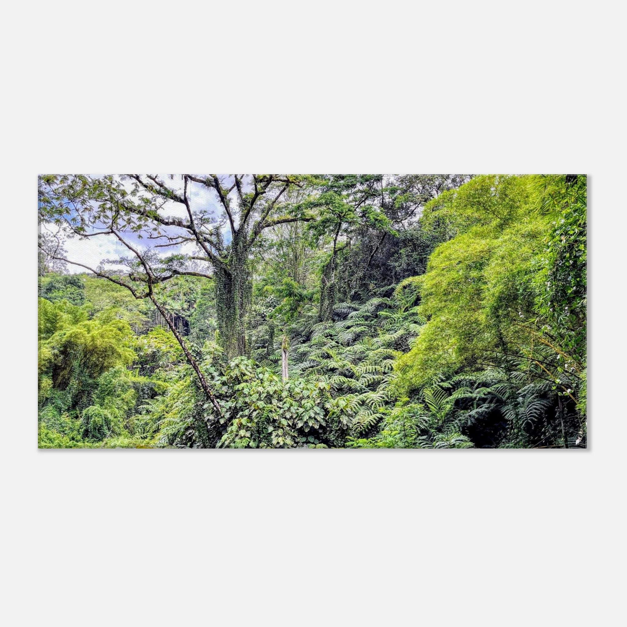 56931e06-0348-4fa9-ab77-1dbdc01b6d51