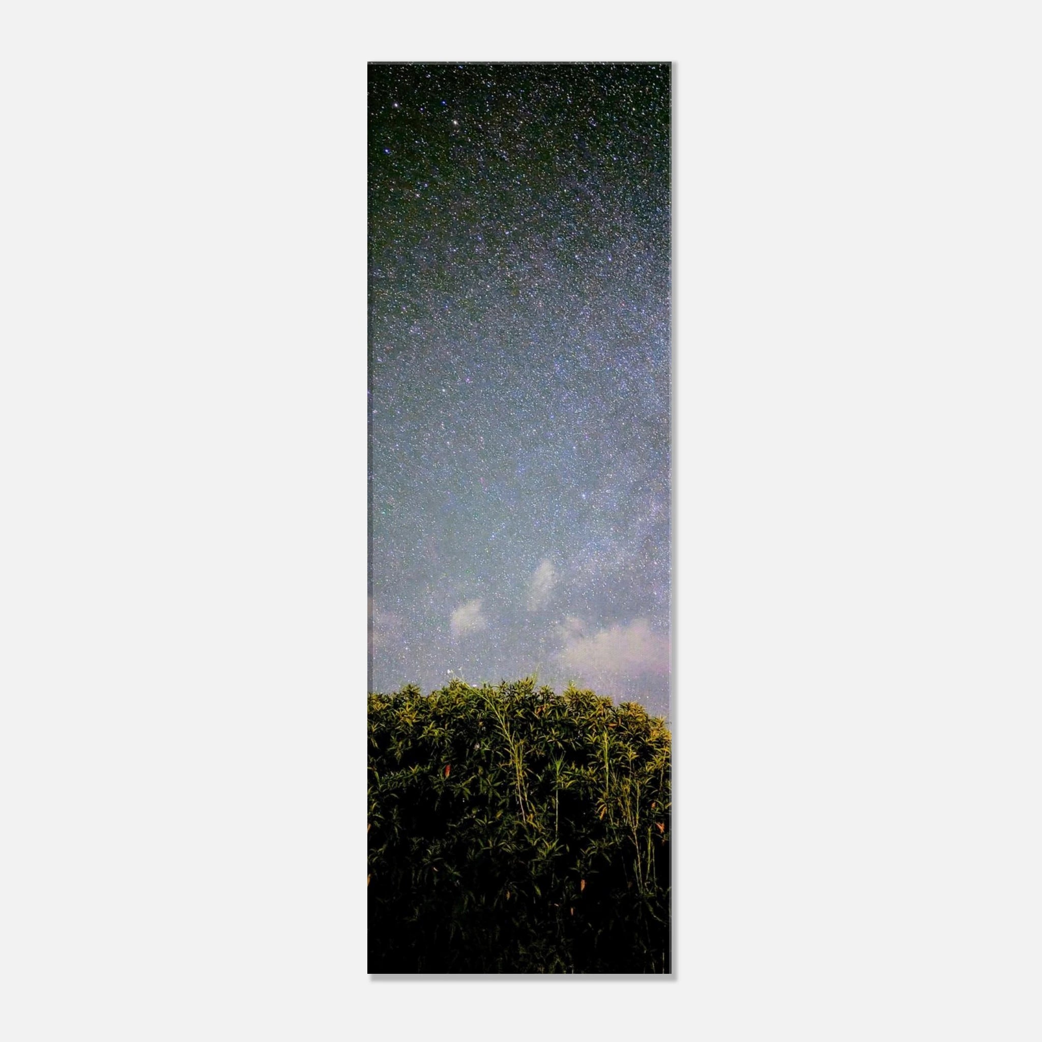 5cc2f056-914e-4369-8813-cd64913ac1e9