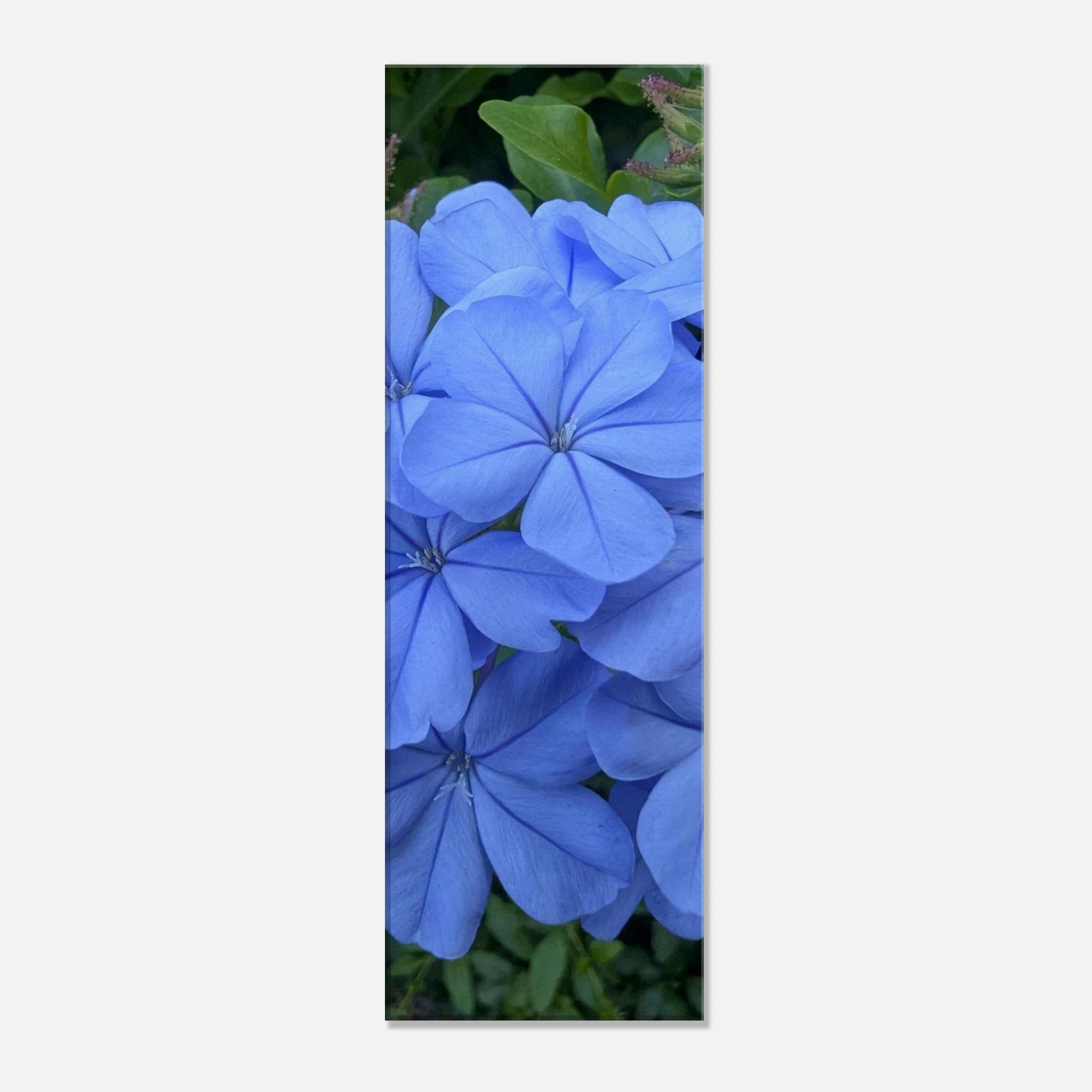 5fadea2d-d288-4625-8f5f-b0551f3673ad