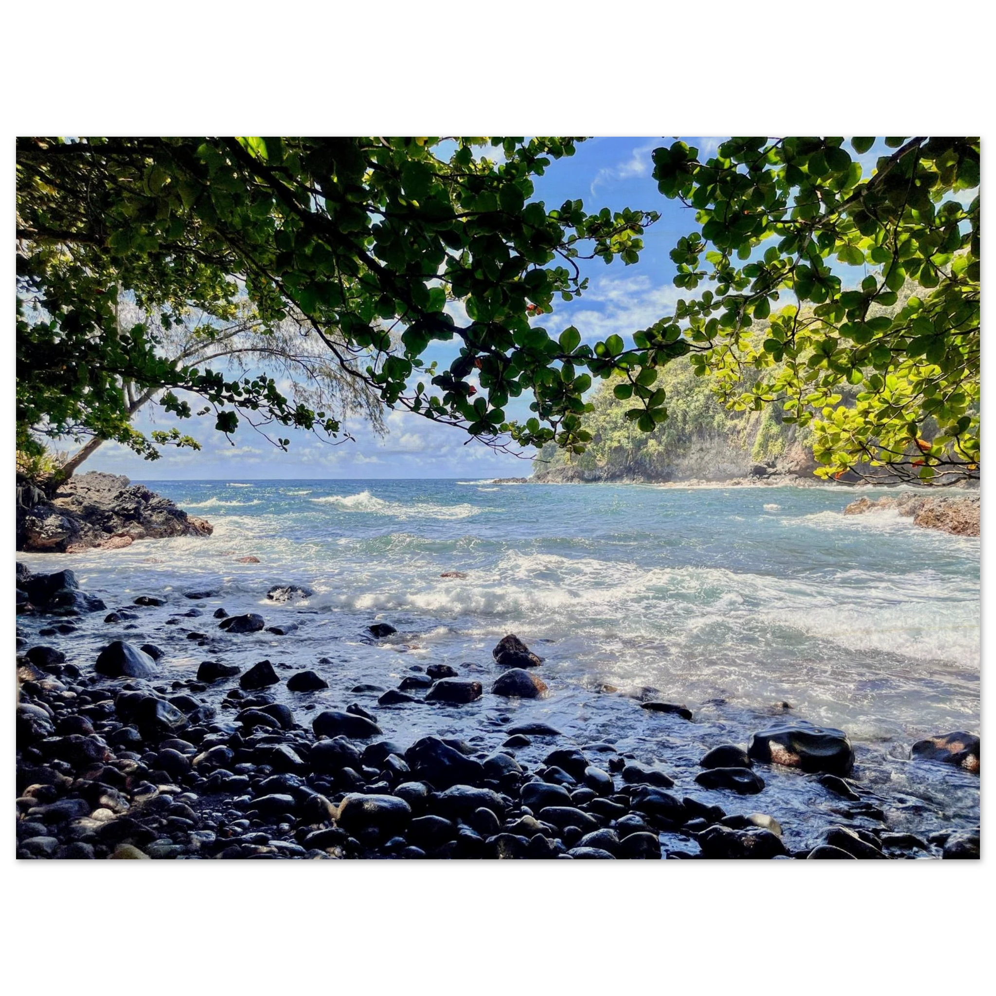 62ed5387-f9ee-4b7a-96d6-e77674a3d3f2