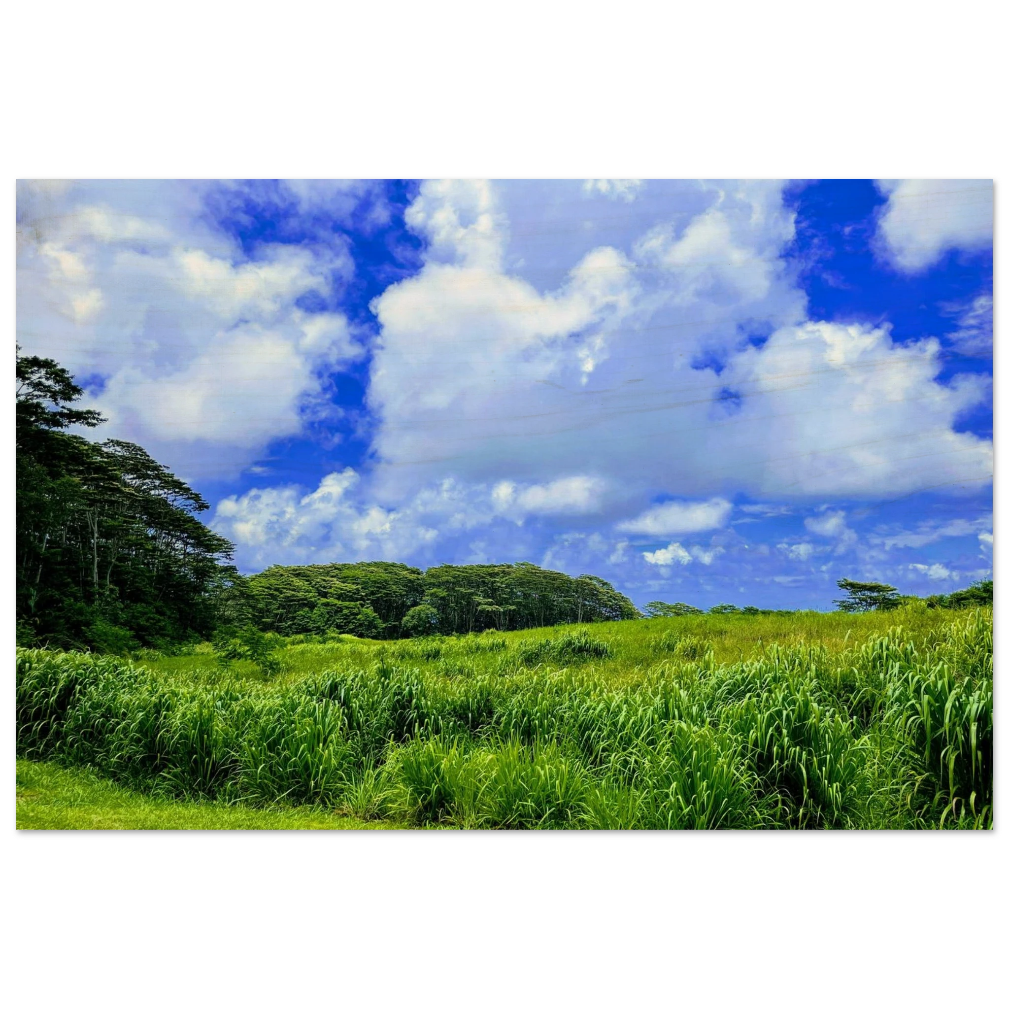 66c0413e-0abc-4b3a-82af-ab37bca58f47