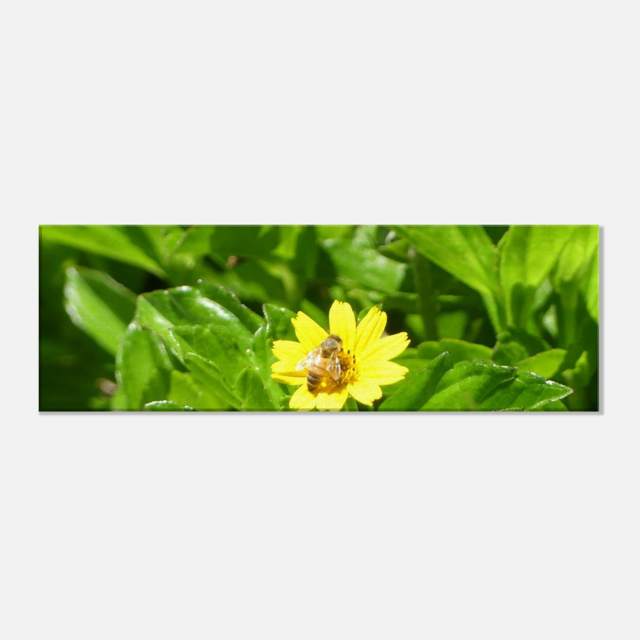 6a178bfb-bbf7-4a64-9e2f-0f2640721c85