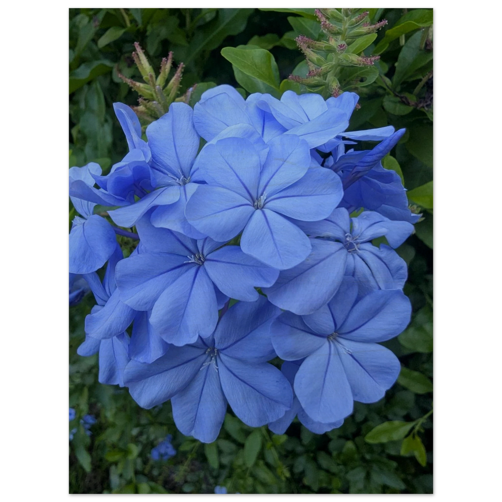6b50f45f-3b80-4348-ab96-2cf1218588ca