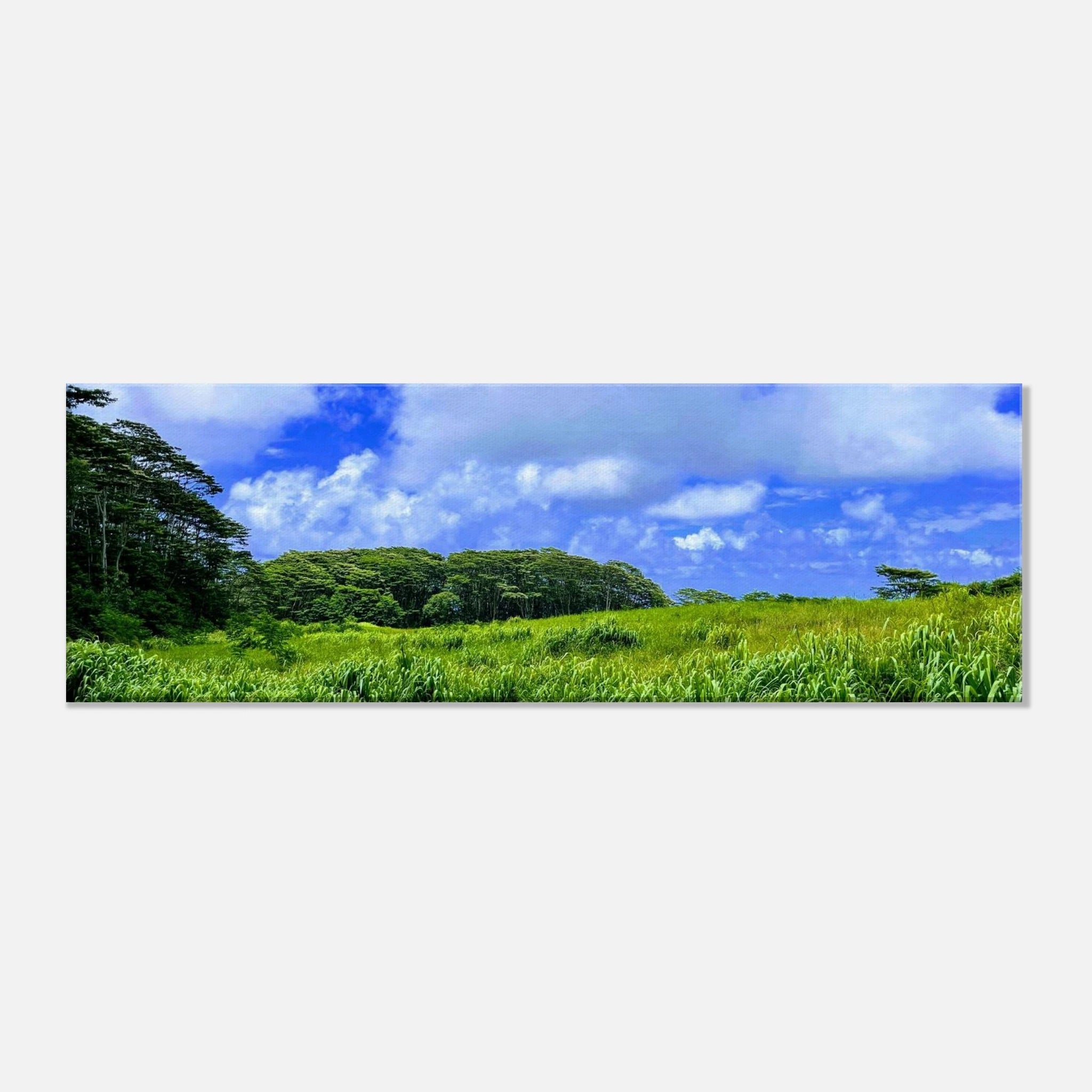 70233b15-66d0-42fa-960c-2df19a6608b7