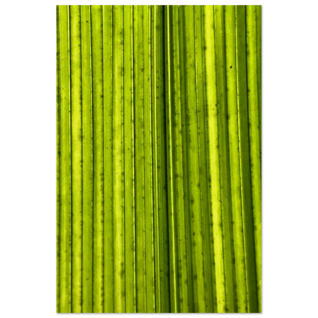 77027115-8ecd-4753-aa01-878a1a83fb87