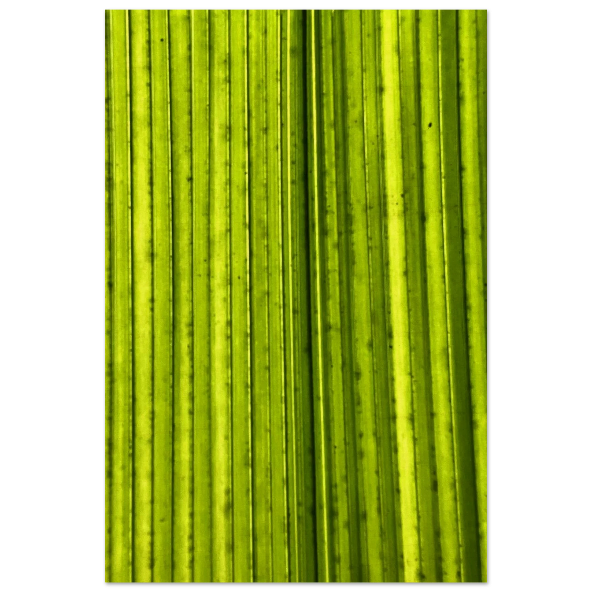77027115-8ecd-4753-aa01-878a1a83fb87