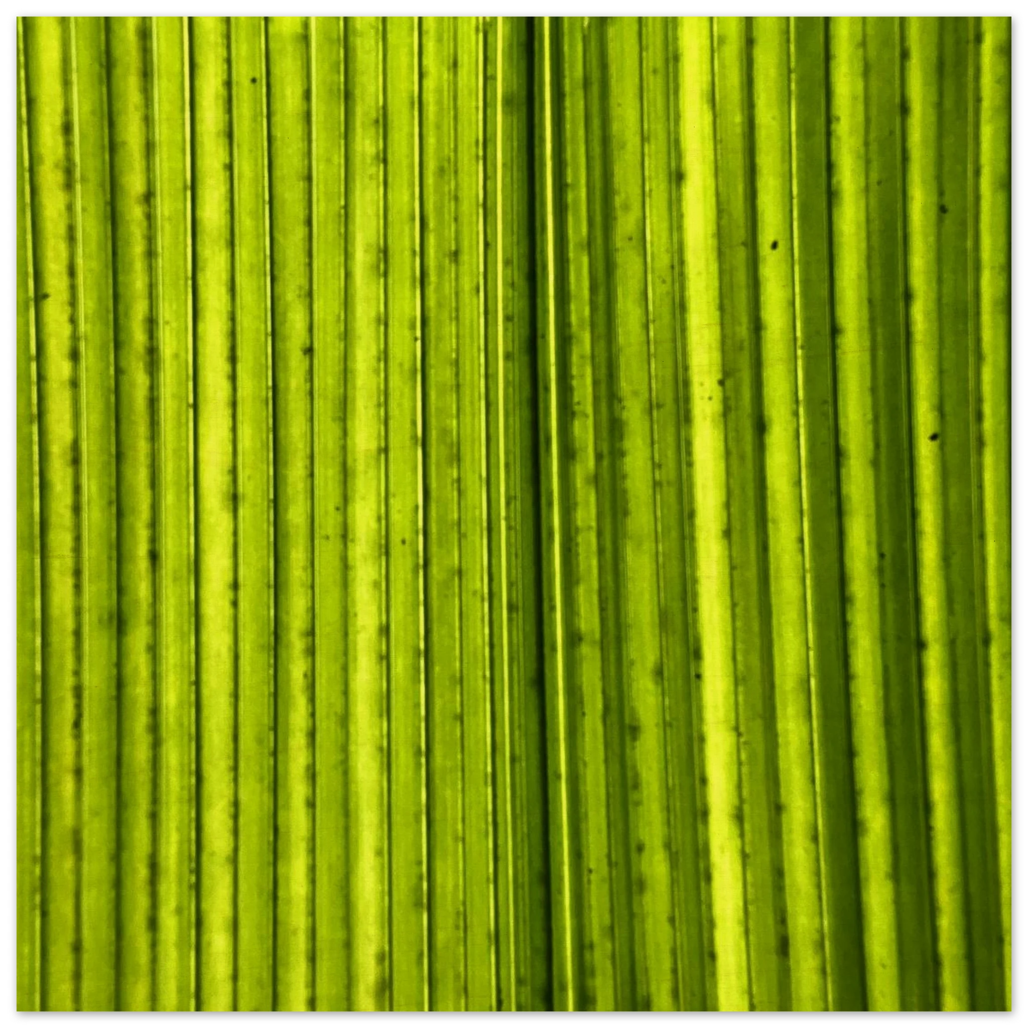 78496b60-8005-402f-b42e-3ebe59033815