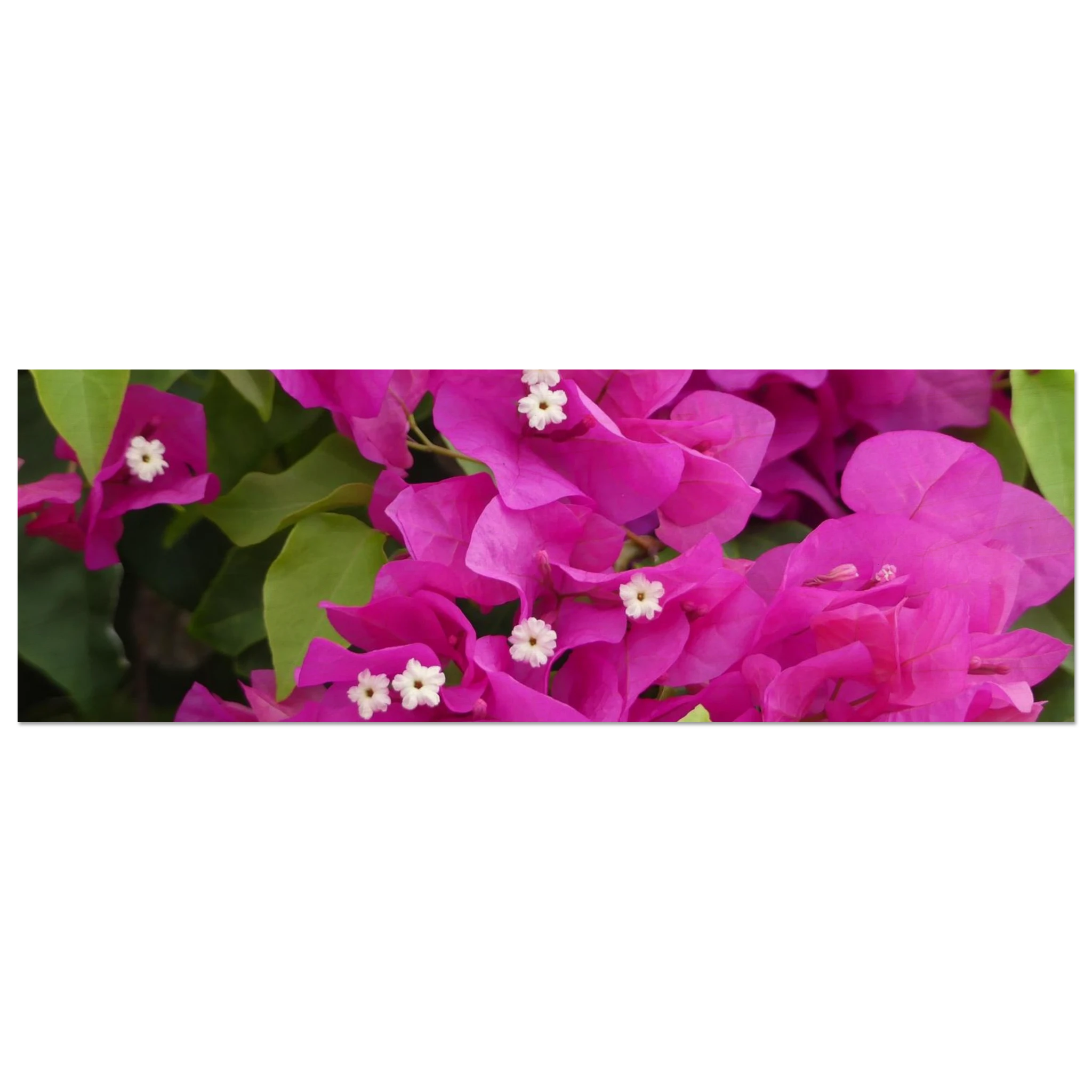 794417c8-3875-4eb8-8327-5ec4b2405e92