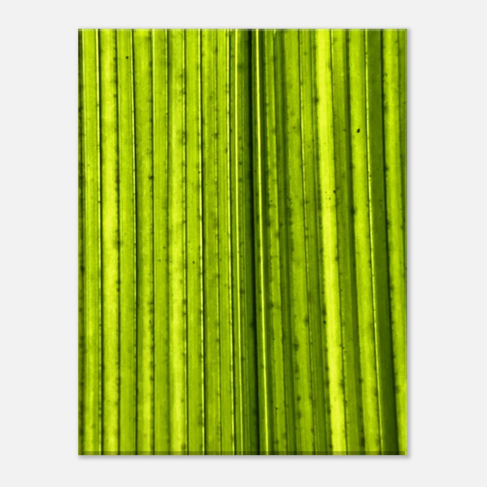 7c9f6e61-6eeb-4987-a96f-df30c1d361ca