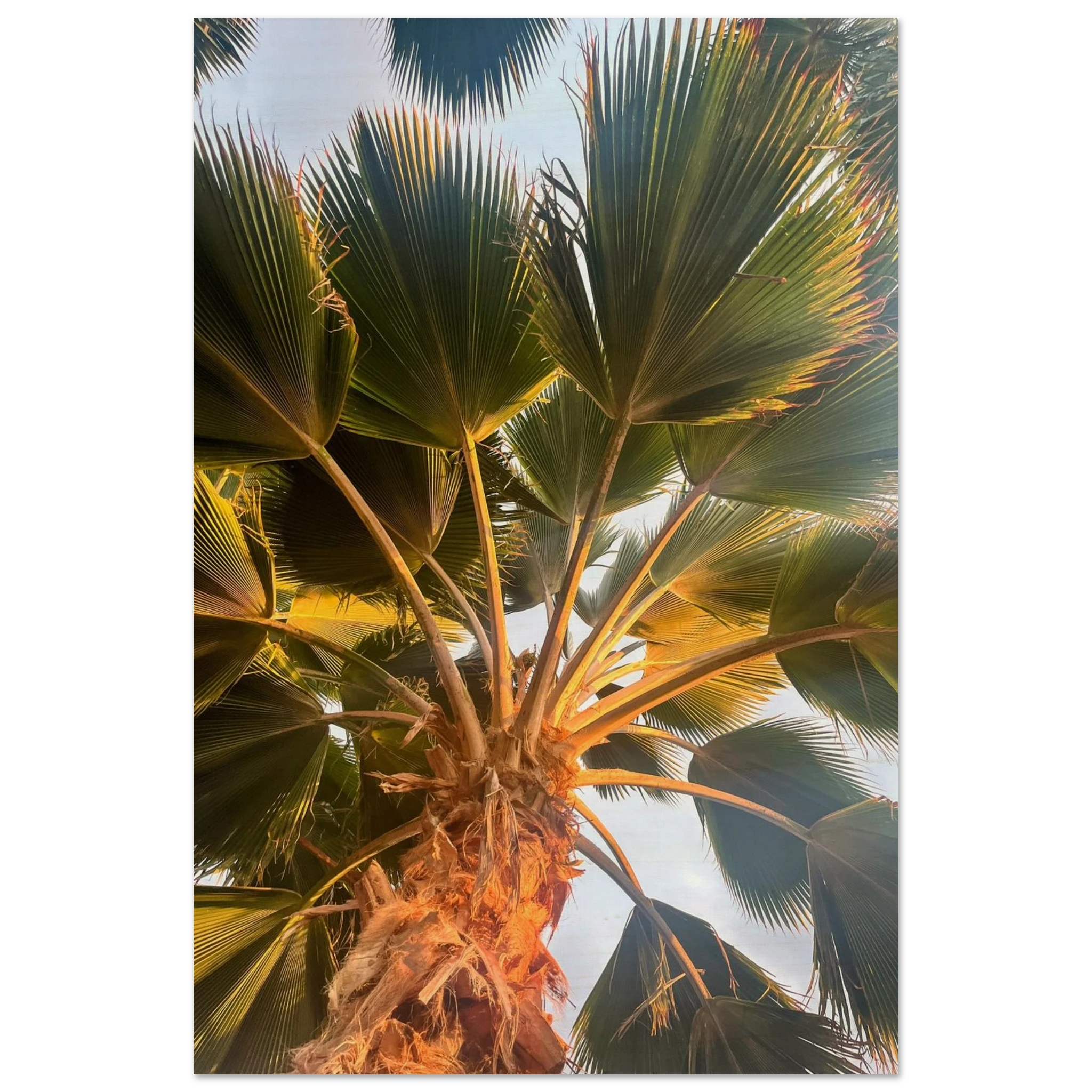 8002d027-994e-4188-8f59-49aea211a7da