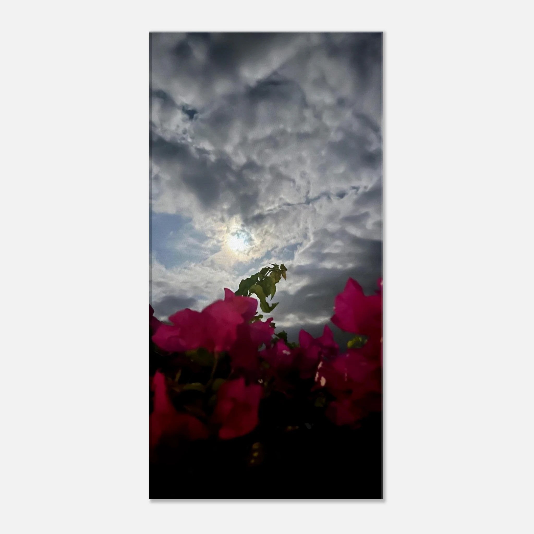 86d083a6-91ec-4aa1-8e58-19aa7c4541d9
