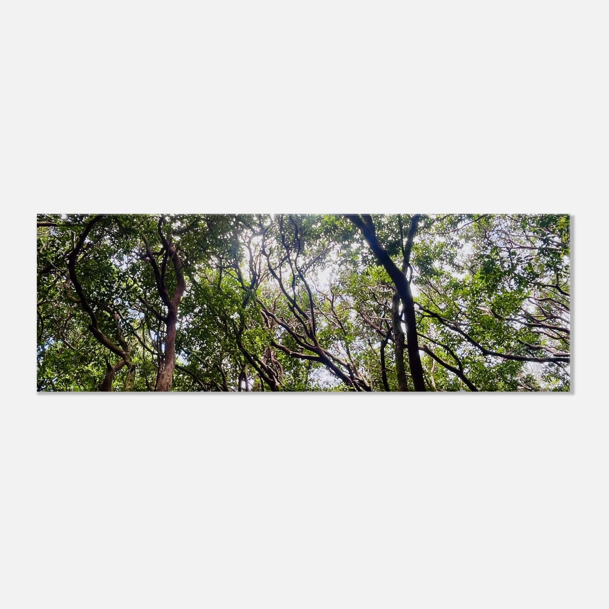 8e60c0a5-262f-4df9-a393-6f306e00b506