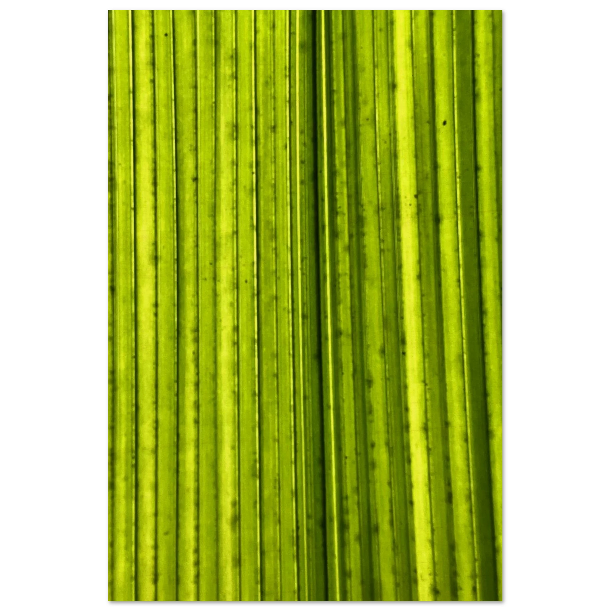948188f7-f670-4641-a711-714a7deaad1a