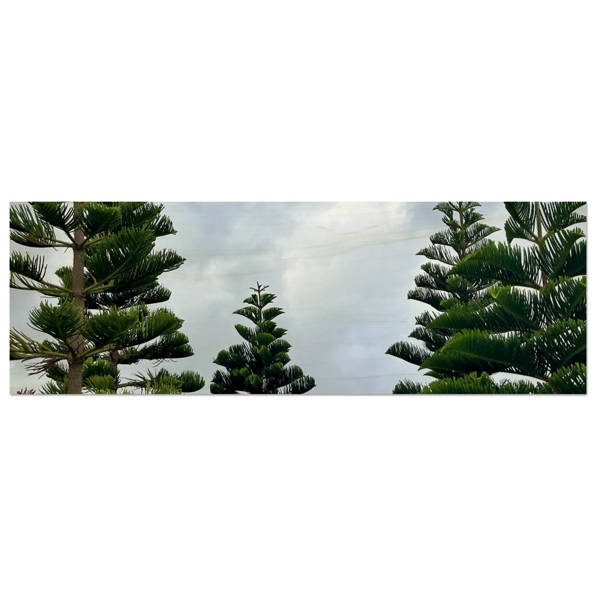 9b54d594-16b5-447e-a660-f40a104ec8e1