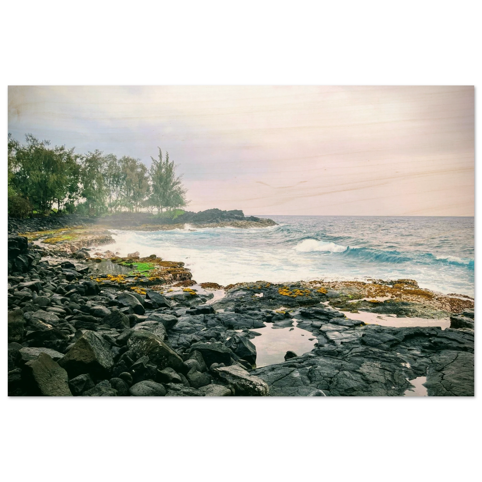 a7b70564-22a1-40d4-b3ea-444d8e80328e