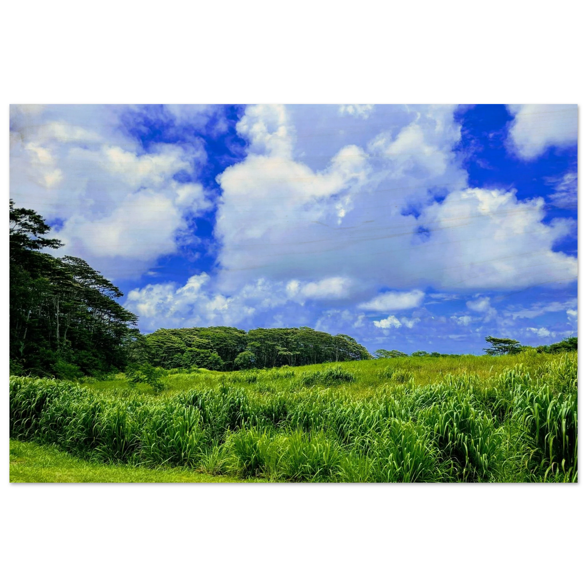 a8fa1aa0-87bf-4c9e-8039-2dfae11b5781