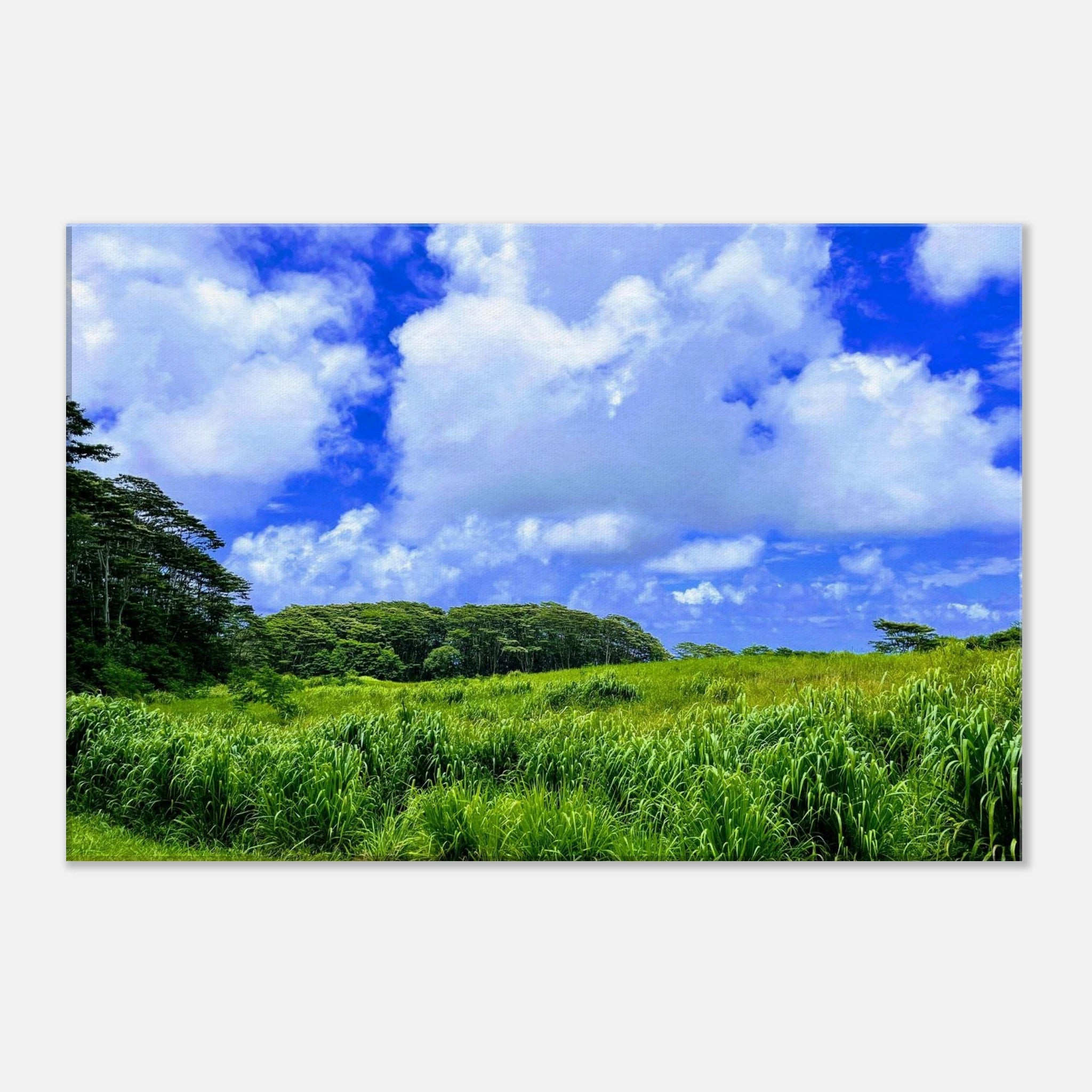 bb2b8943-1d1a-41ae-bb26-fd40242c4010